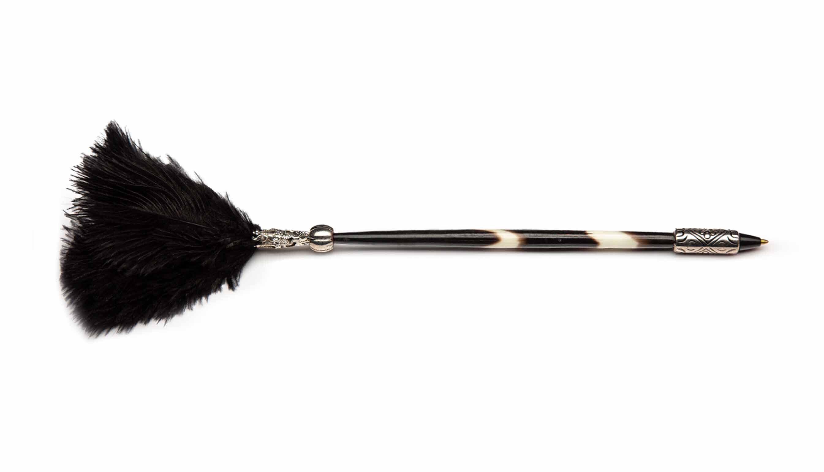 Porcupine Quill Pen W/ Black Feathers