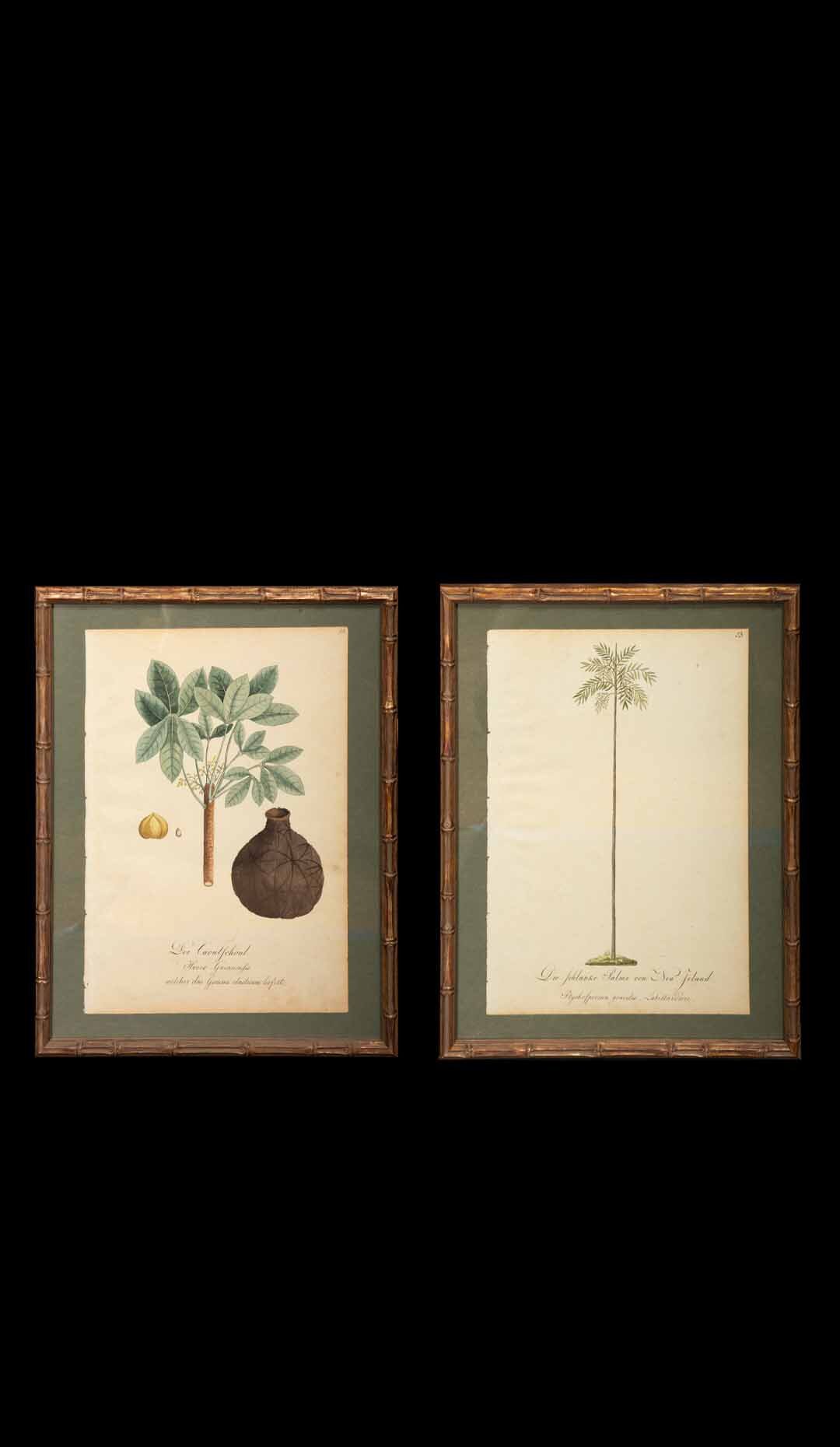 Watercolor of Palms