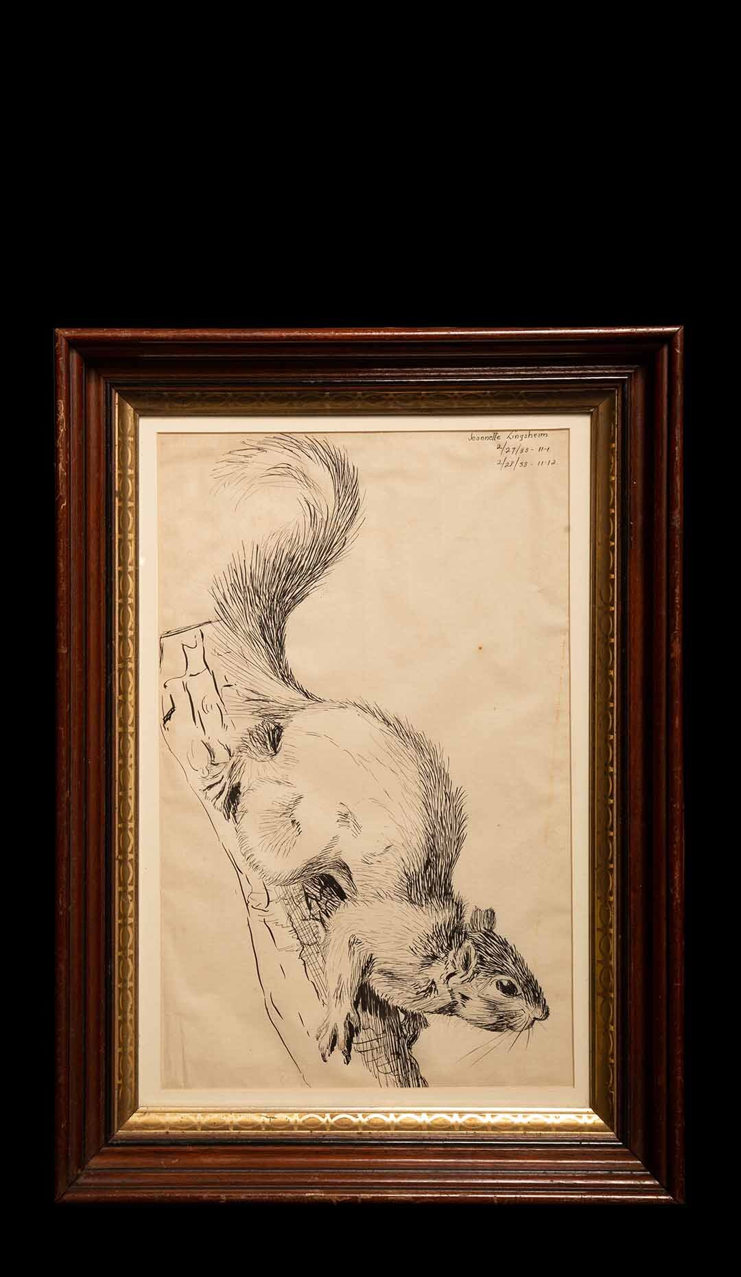Pen and Ink Drawing of a Squirrel from 1933