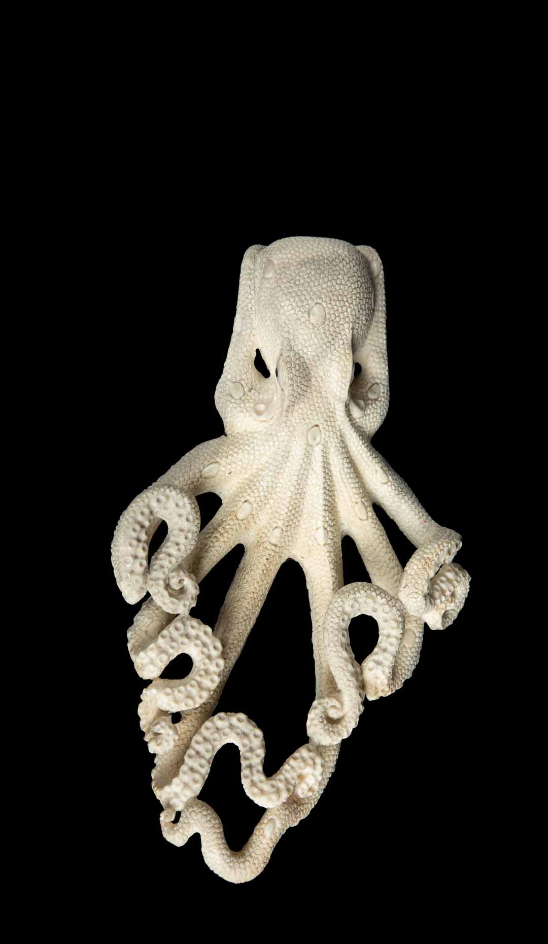 Hand Carved Moose Antler Octopus