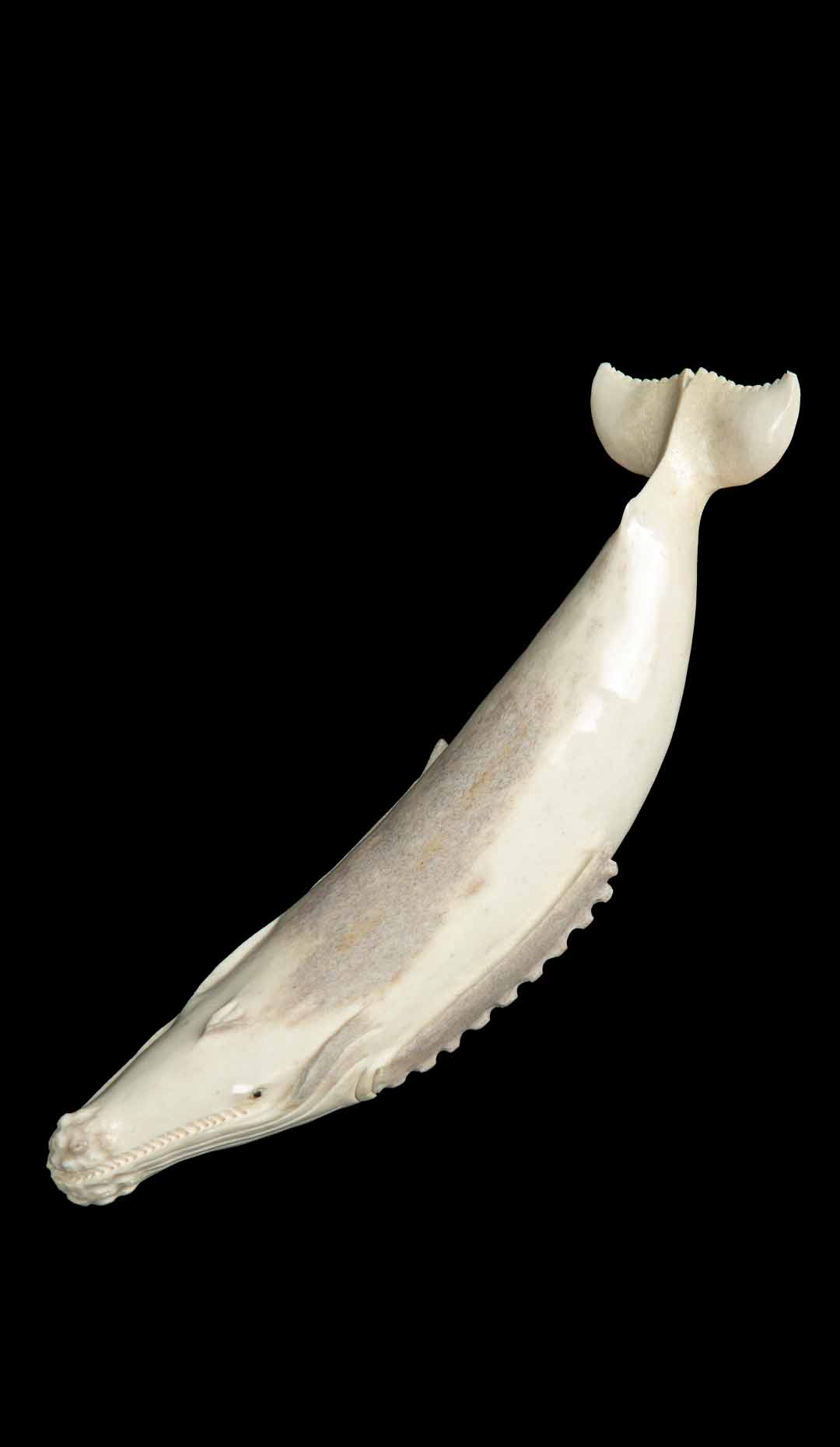 Hand Carved Moose Antler Whale