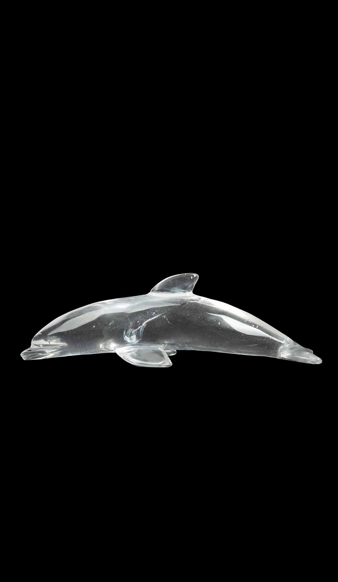 Rock Crystal Dolphin