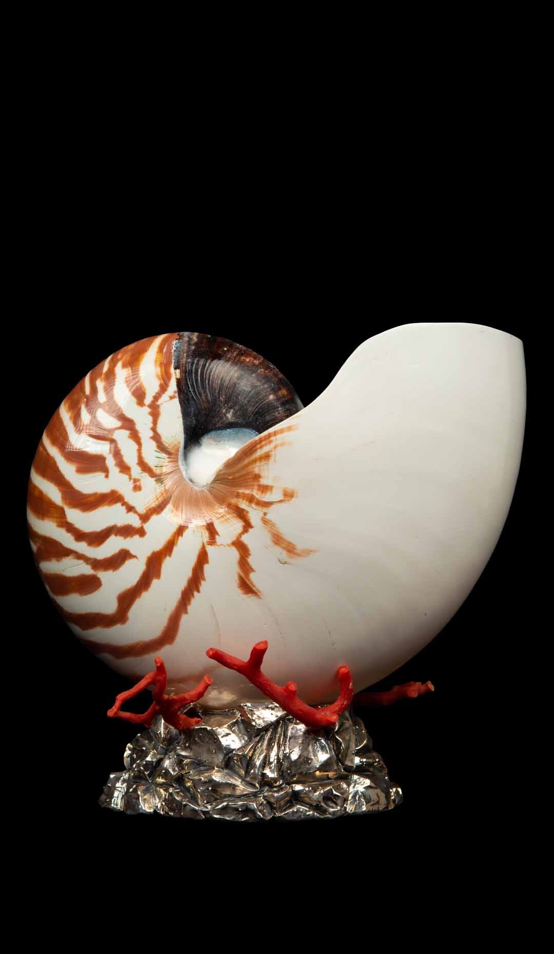 Nautilus Mounted on Silver Base With Red Coral