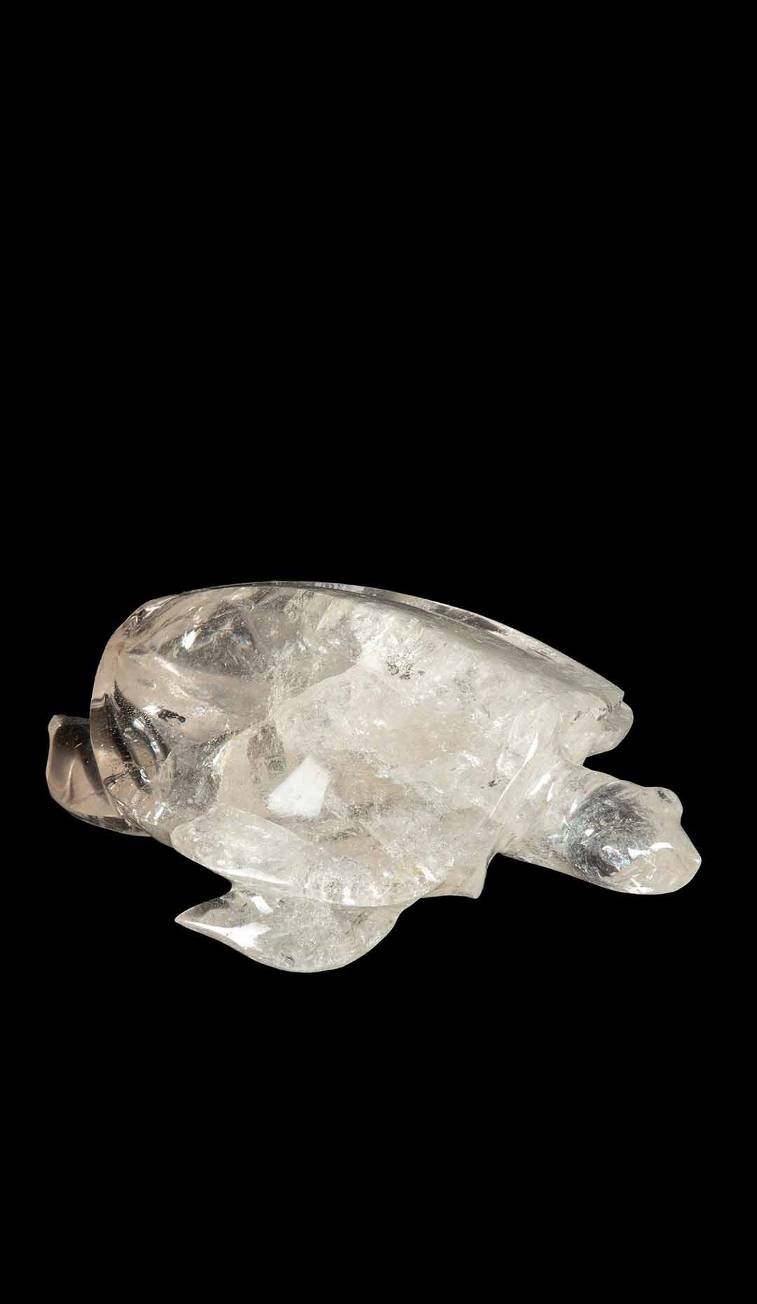 Rock Crystal Turtle