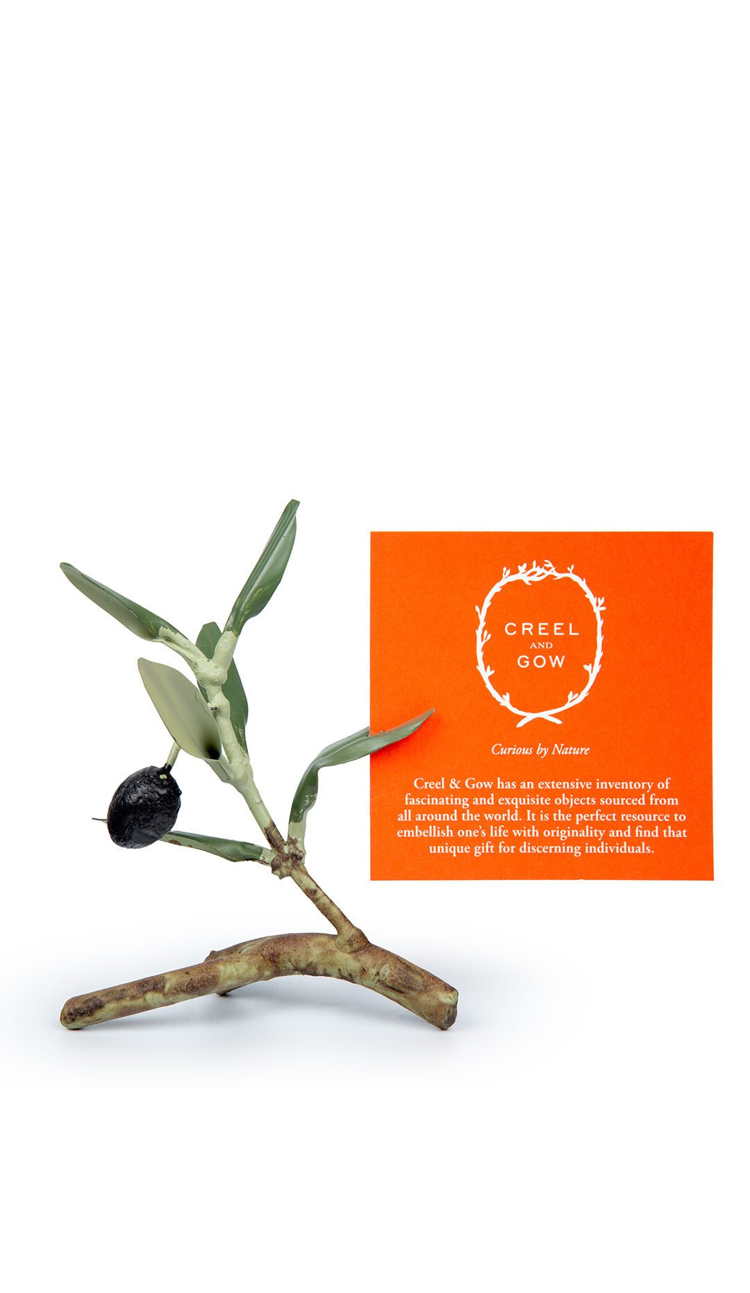 Olive Branch Placecard Holder