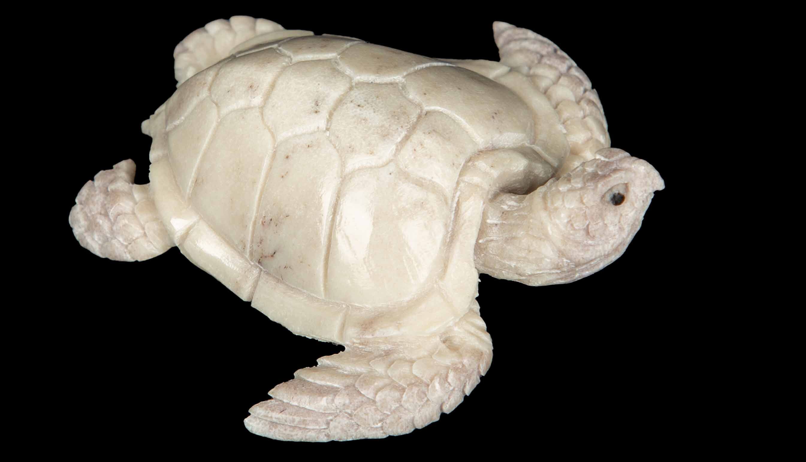 Carved Moose Antler Sea Turtle