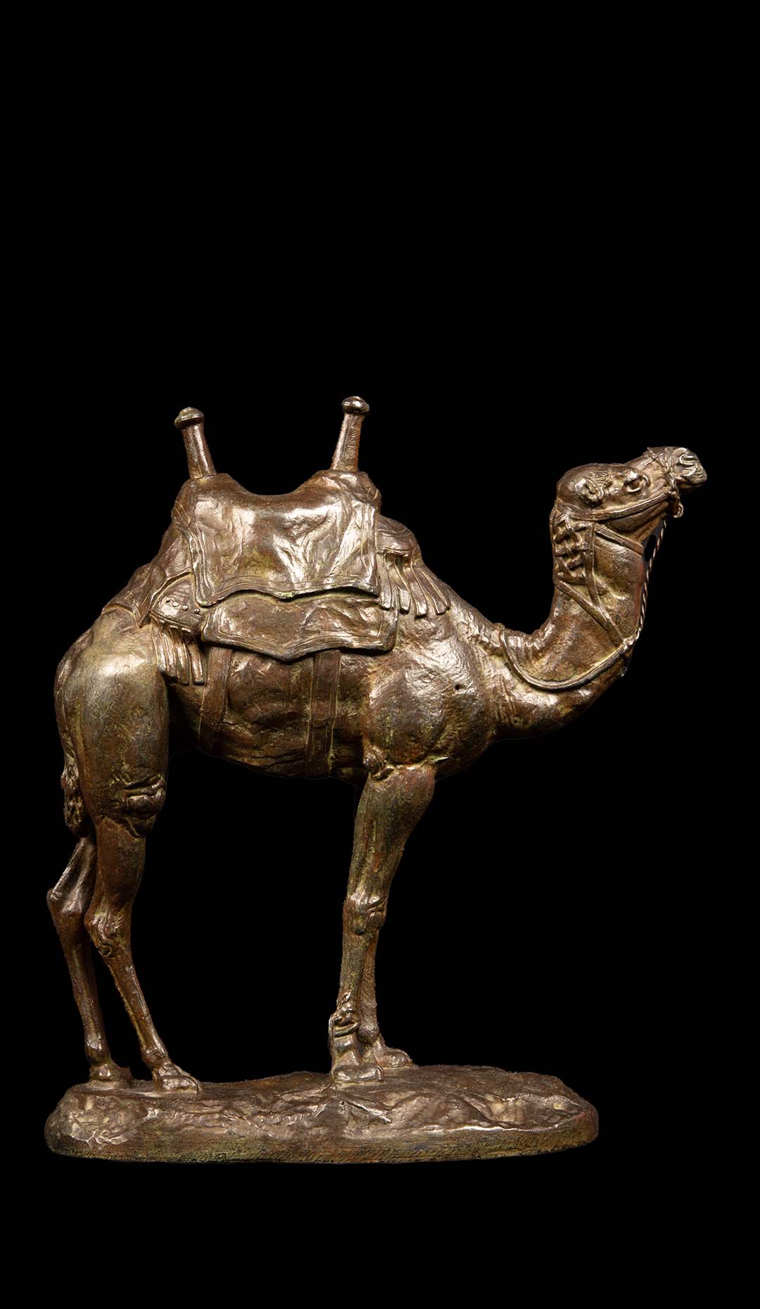 Saddled camel By Alfred Barye (1839-1882) in Bronze