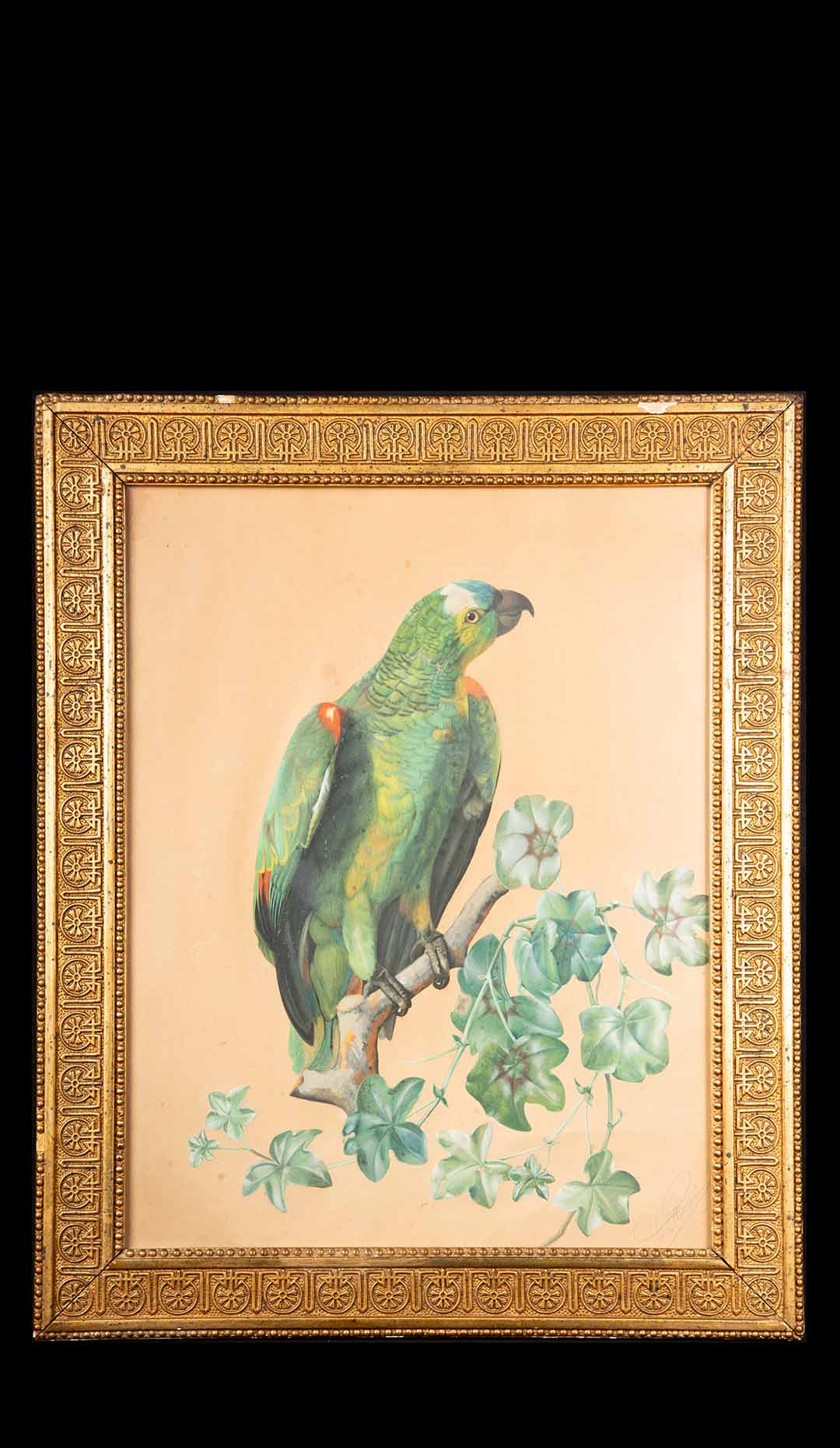 19th Century Vibrant Avian Charm: Parrot on a Branch by C. Petersen