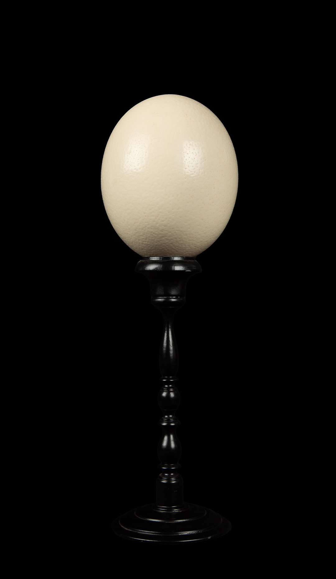 Mounted Ostrich Egg Tall, 15.5″ H