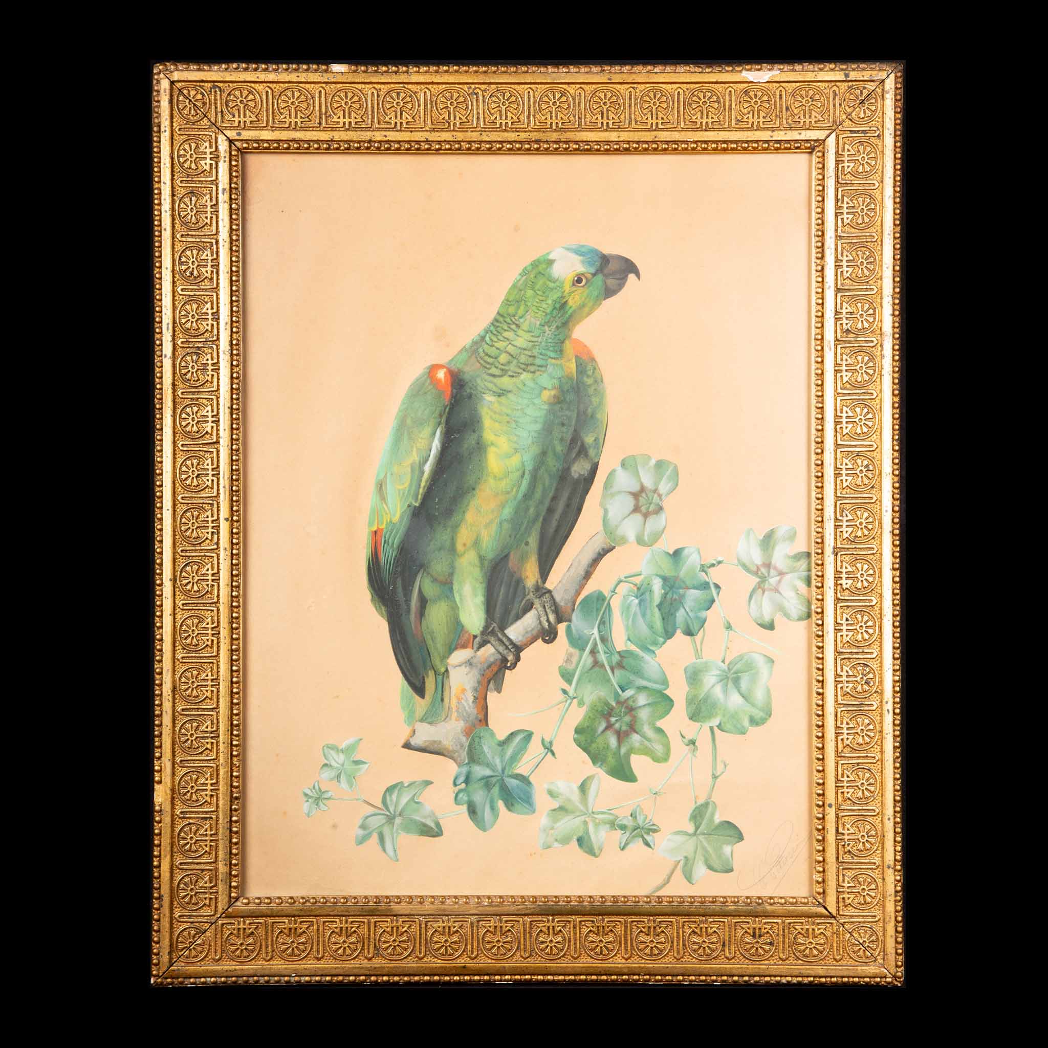 19th Century Vibrant Avian Charm: Parrot on a Branch by C. Petersen