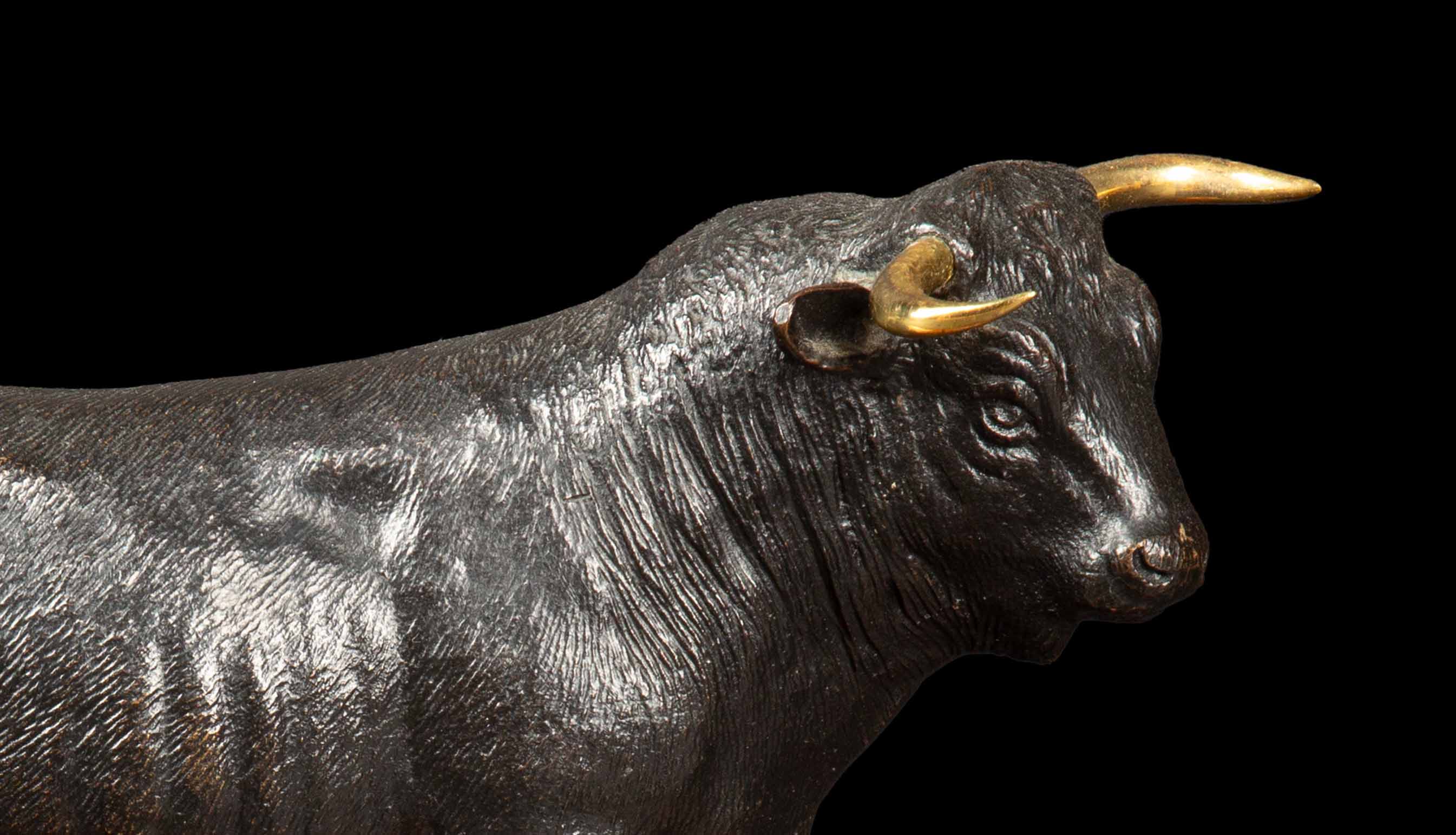 Early 20th Century of a Bull with Gilt Horns