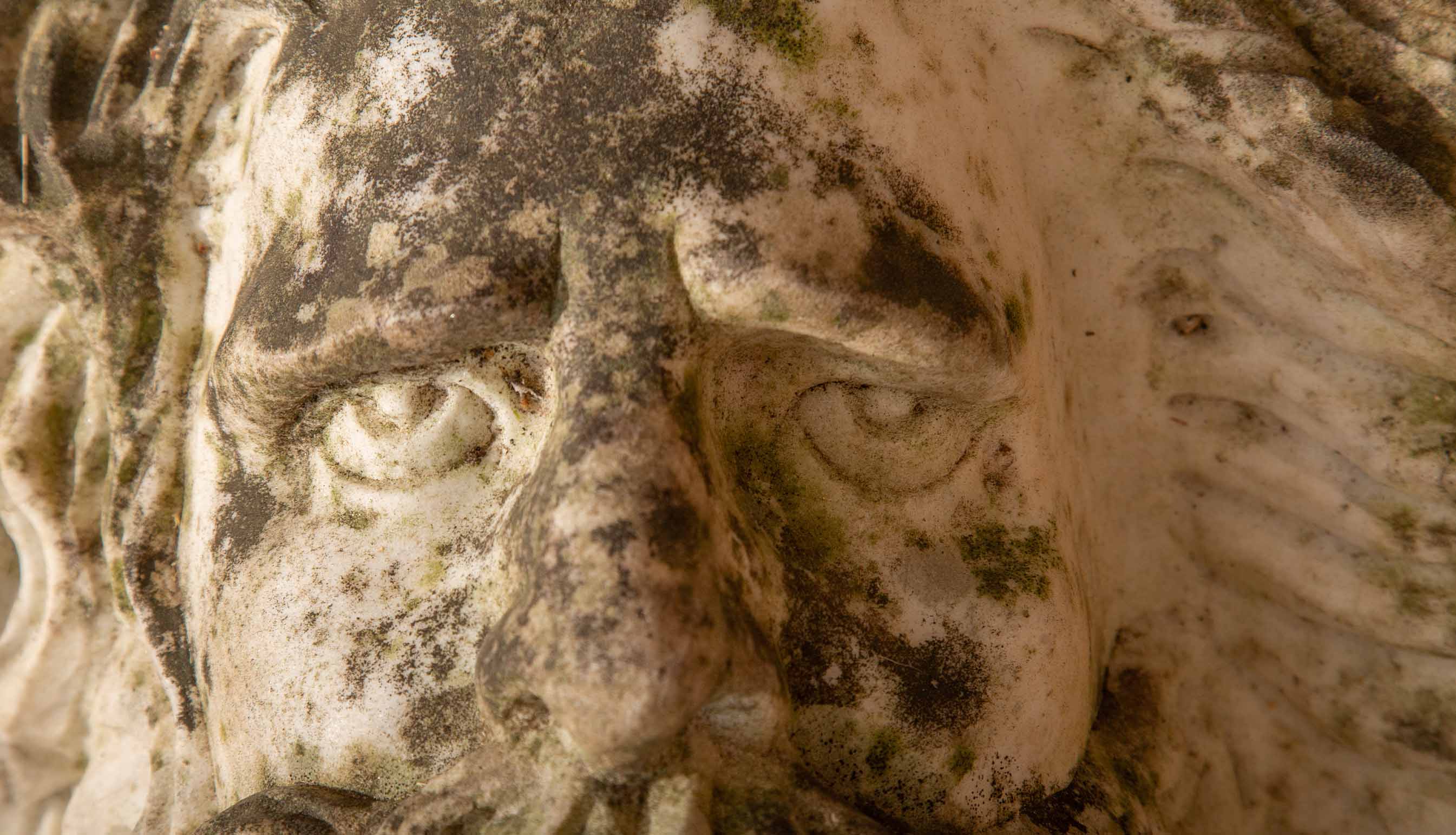 Antique Marble Bust of a Man