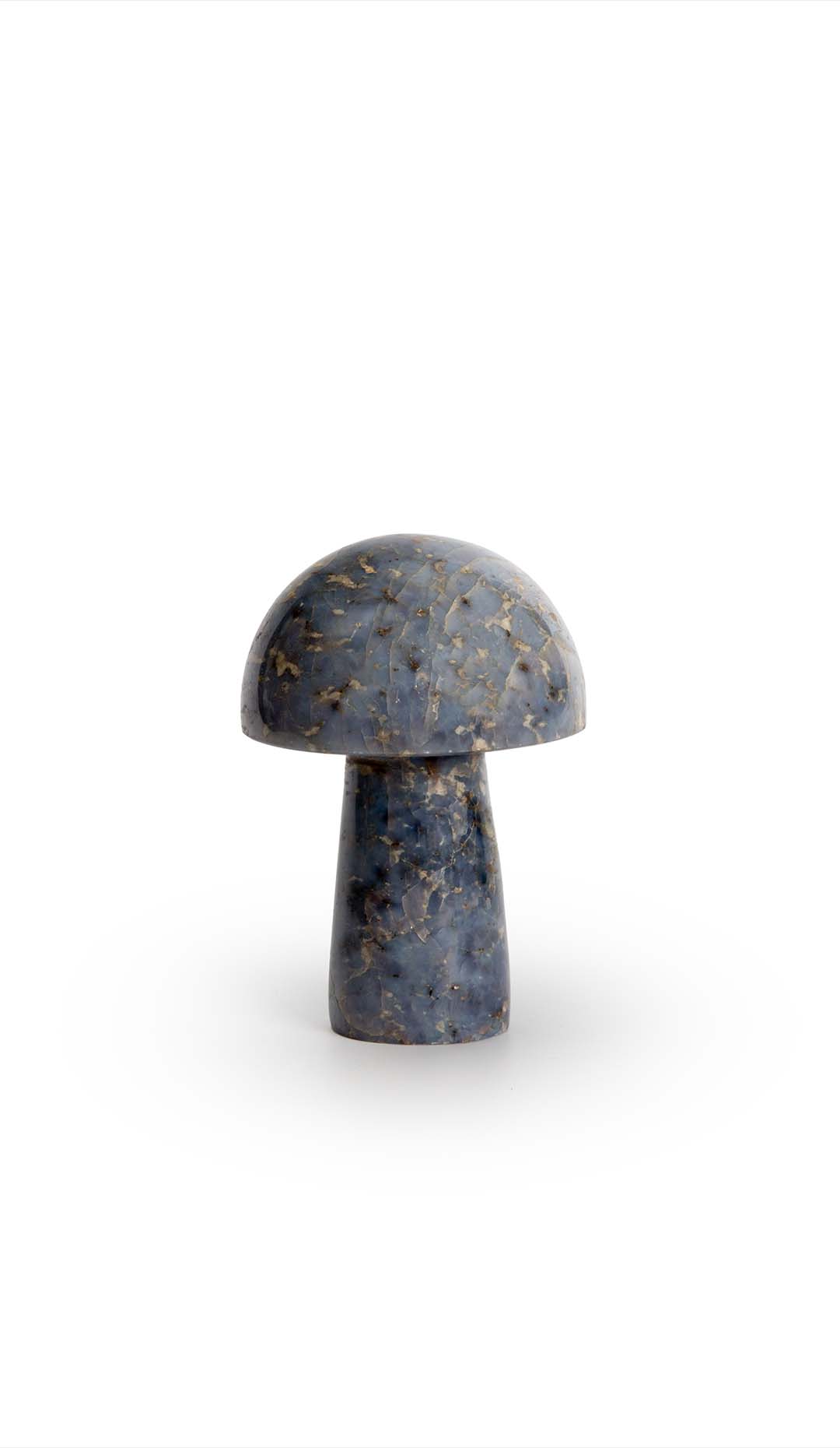 Blue Calcite Mushroom