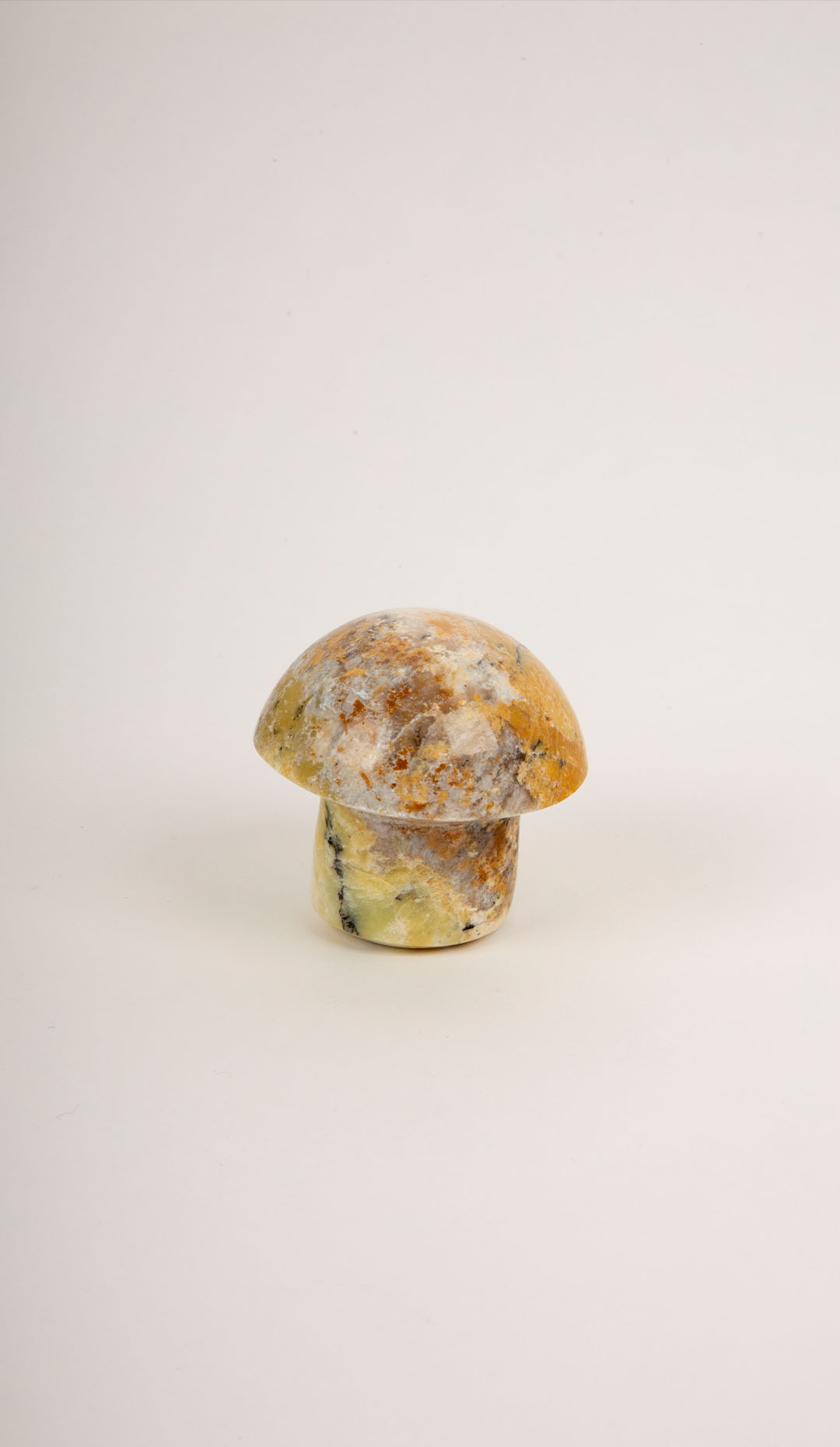 Yellow Jasper Mushroom