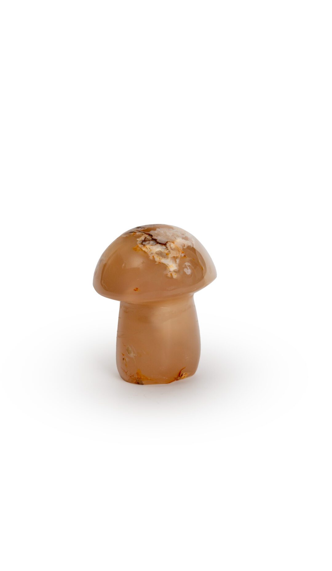 Agate Mushroom