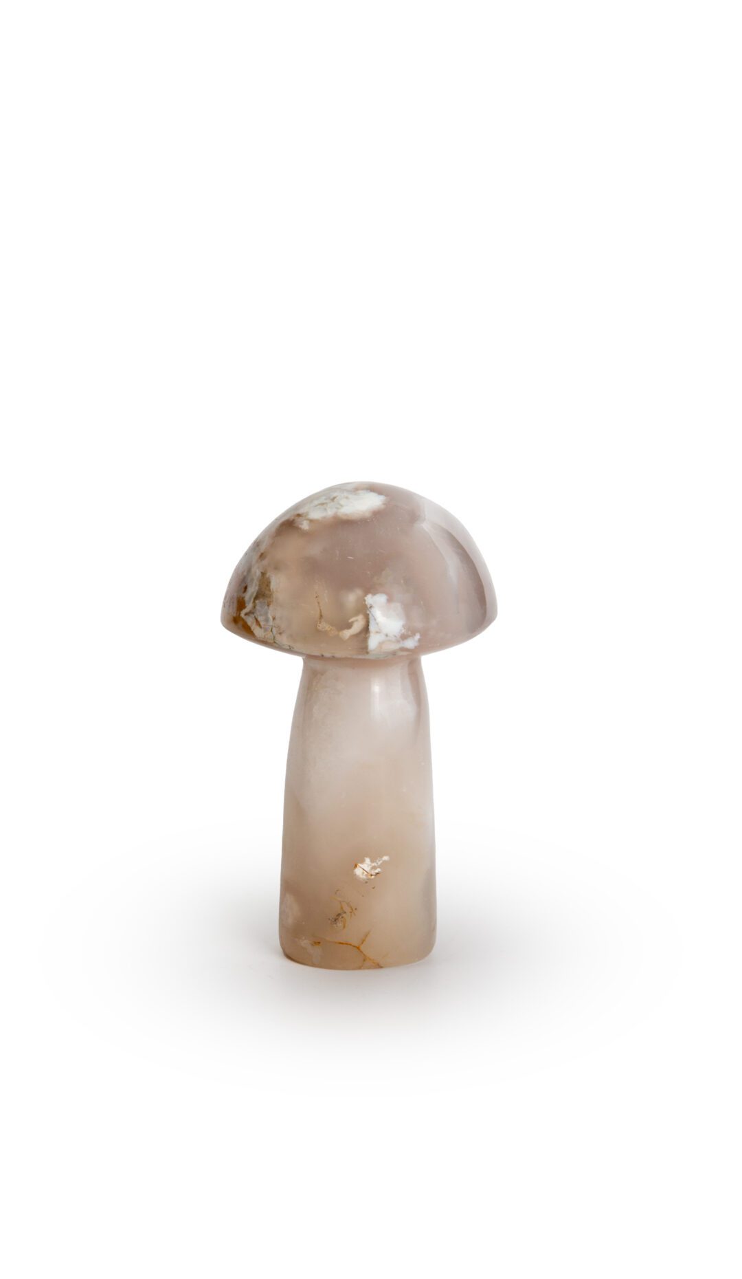 Agate Mushroom