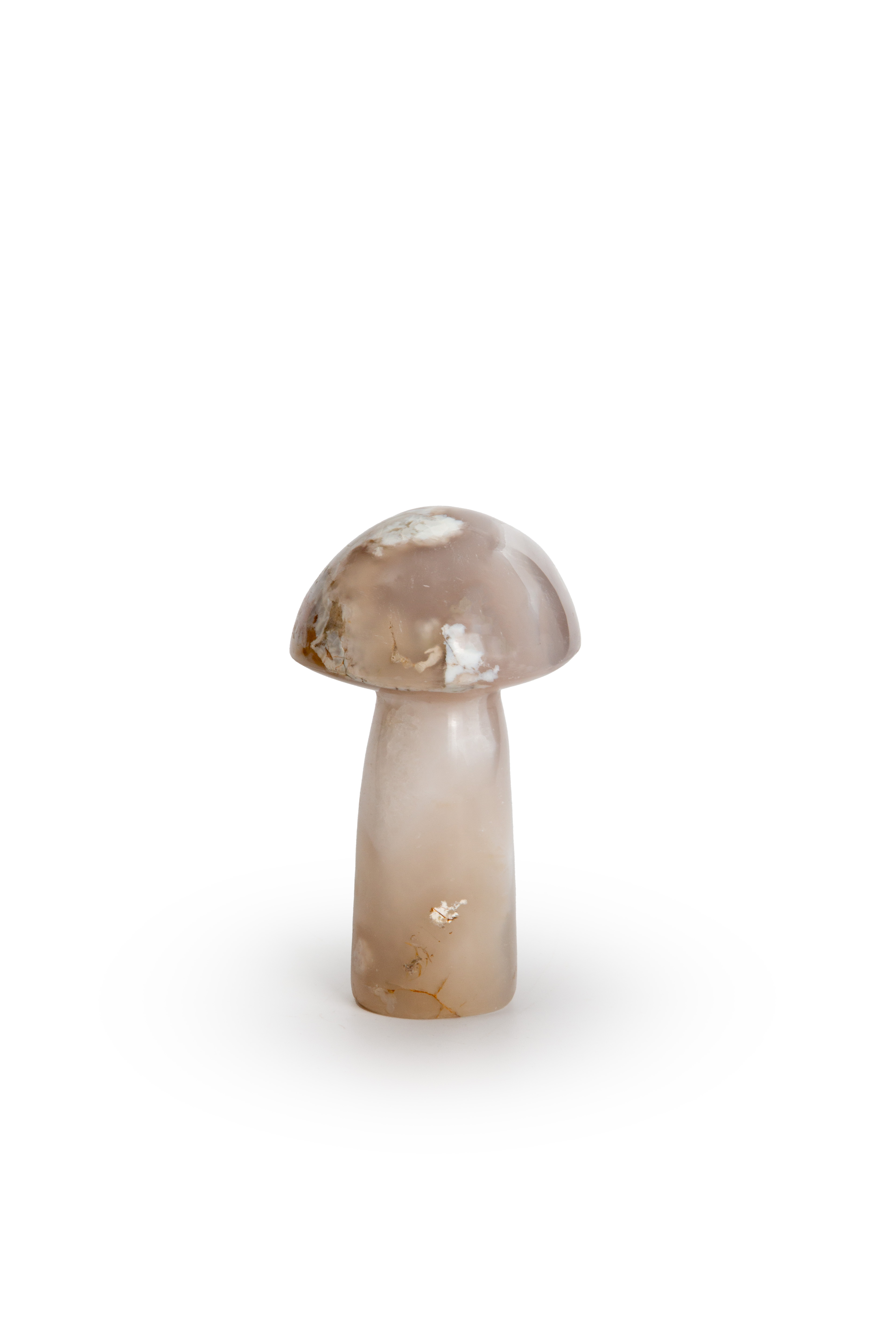 Agate Mushroom