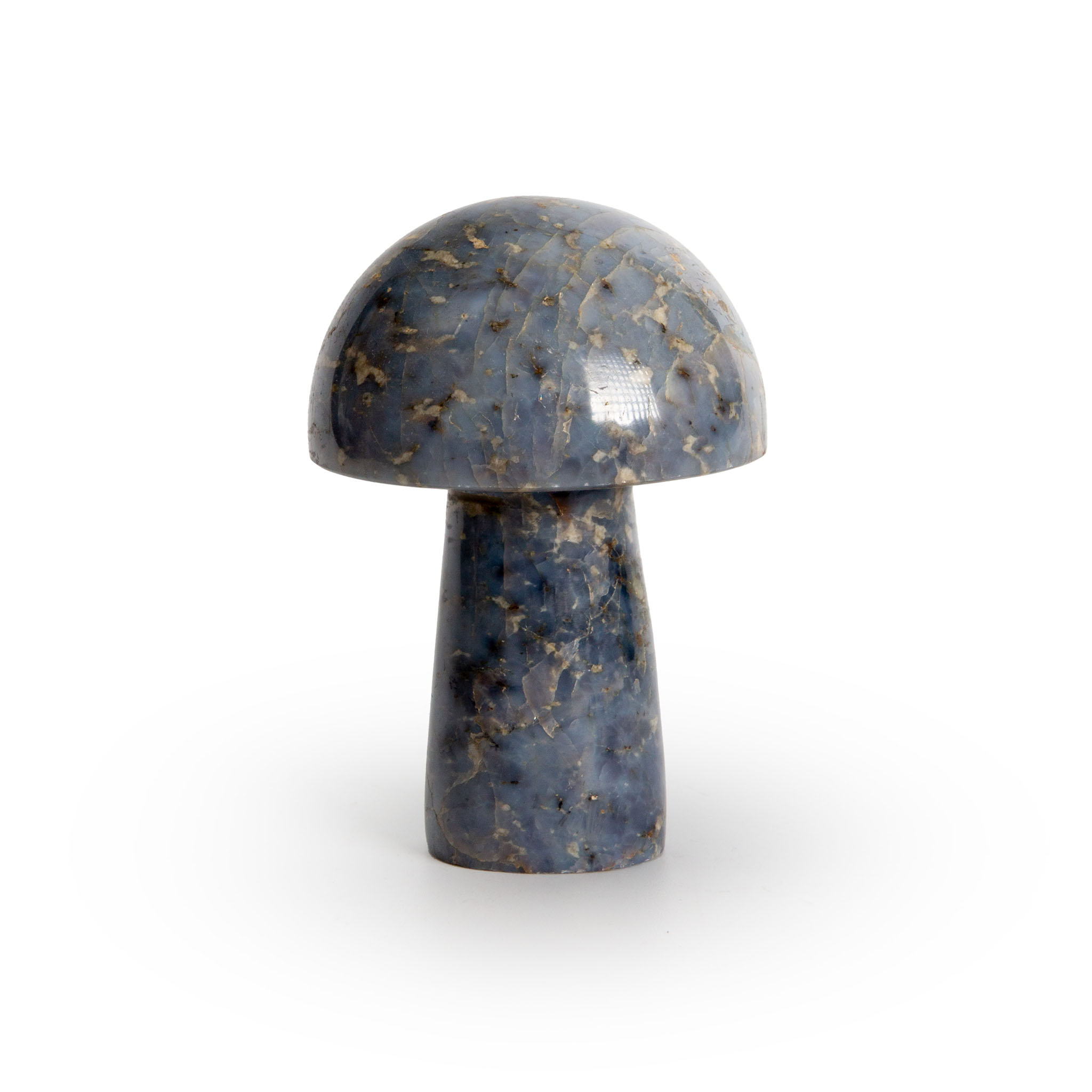 Blue Calcite Mushroom