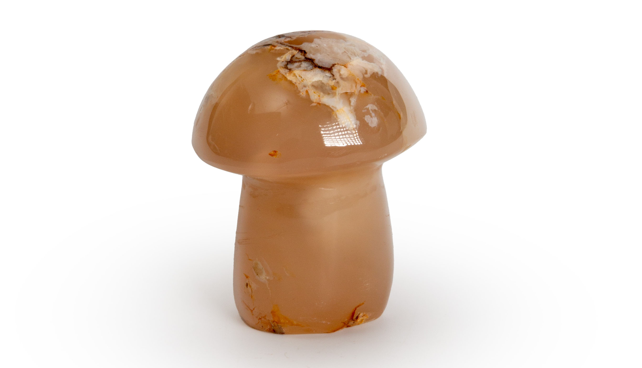 Agate Mushroom