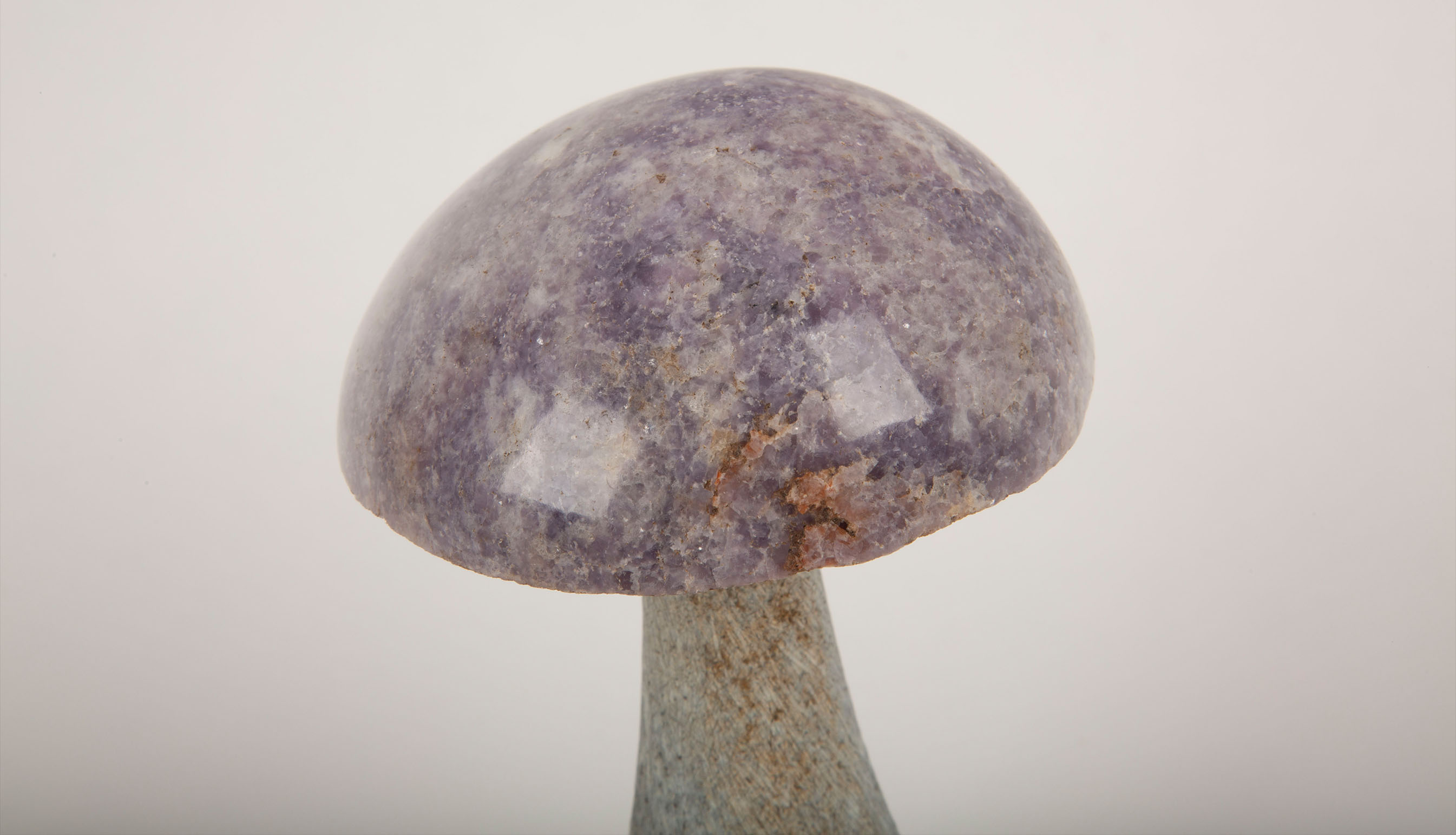 Soap Stone Mushroom