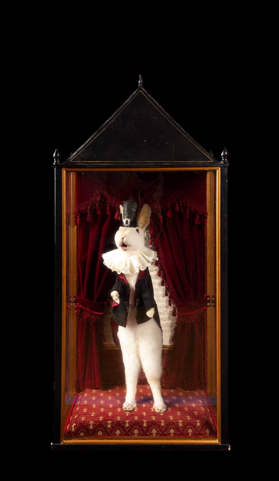 Enchanted Illusions: Taxidermy Magician Rabbit Diorama