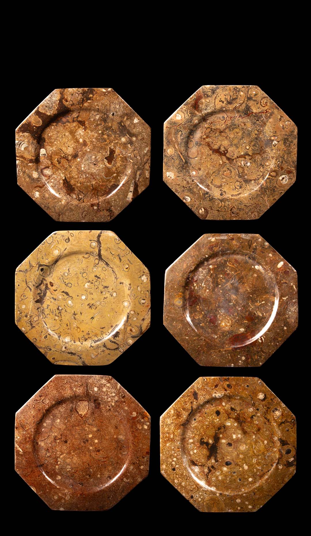 Set of 6 Orthoceras/Fossil Stone plates