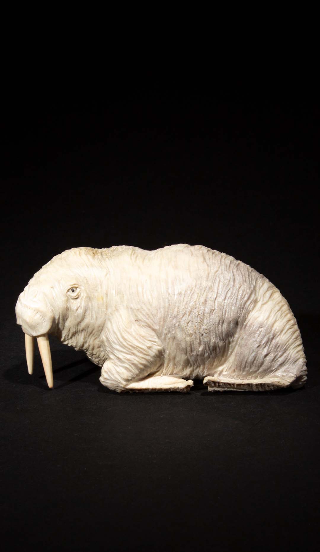 Hand Carved Moose Antler Walrus, 4.25″