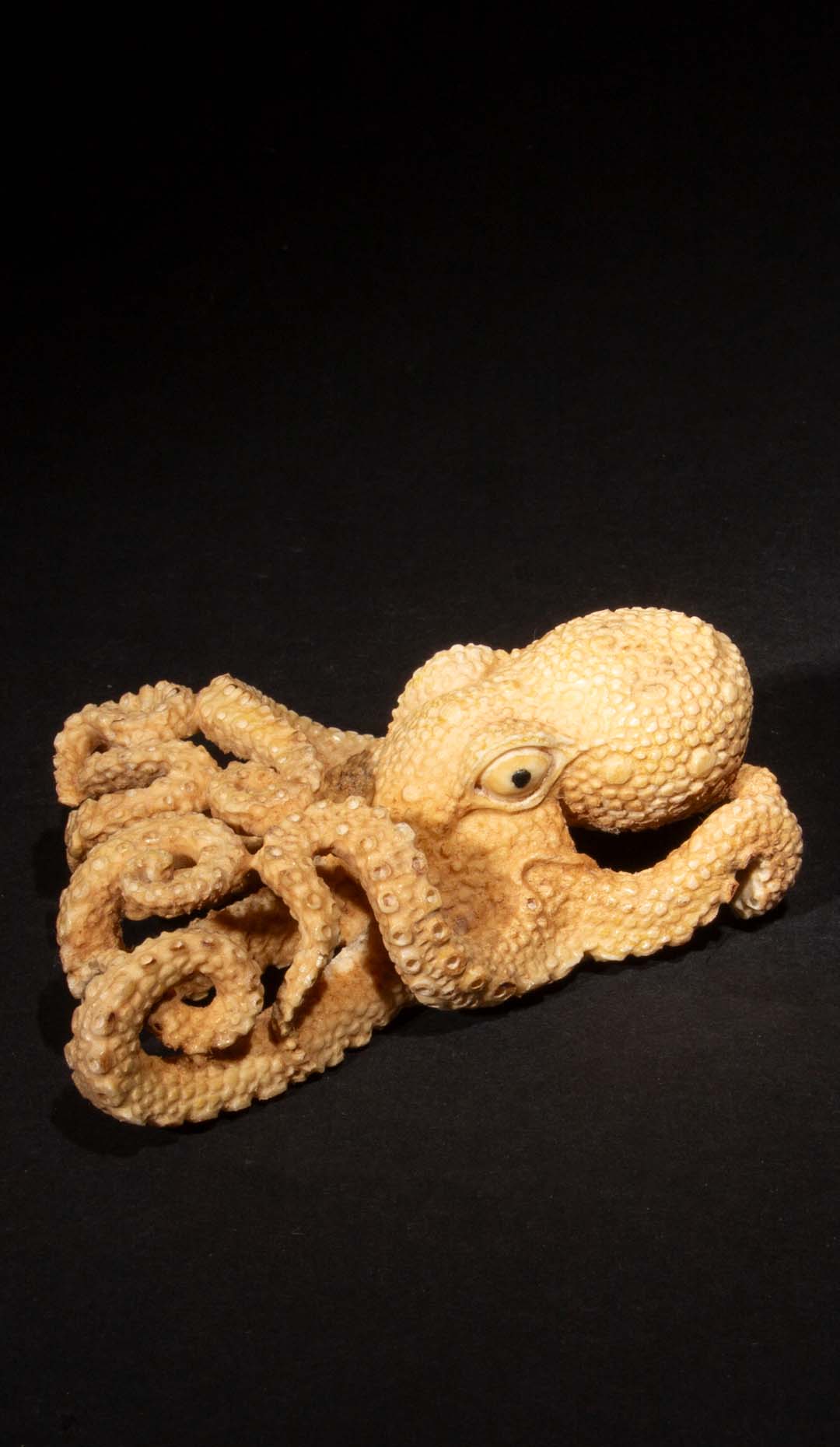 Hand Carved Moose Antler Octopus, 4.25″