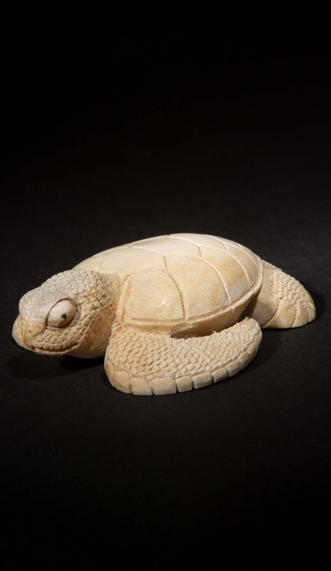 Hand Carved Moose Antler Sea Turtle, 3.5″