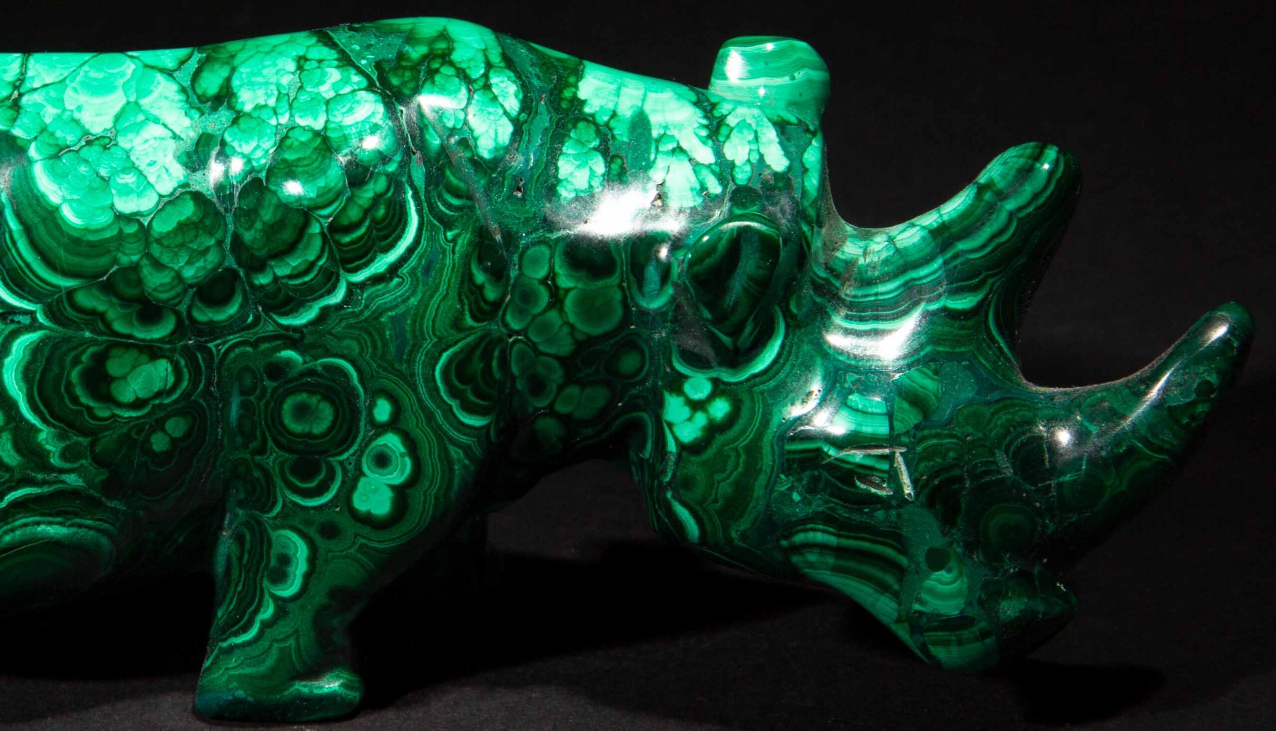 Malachite Rhino