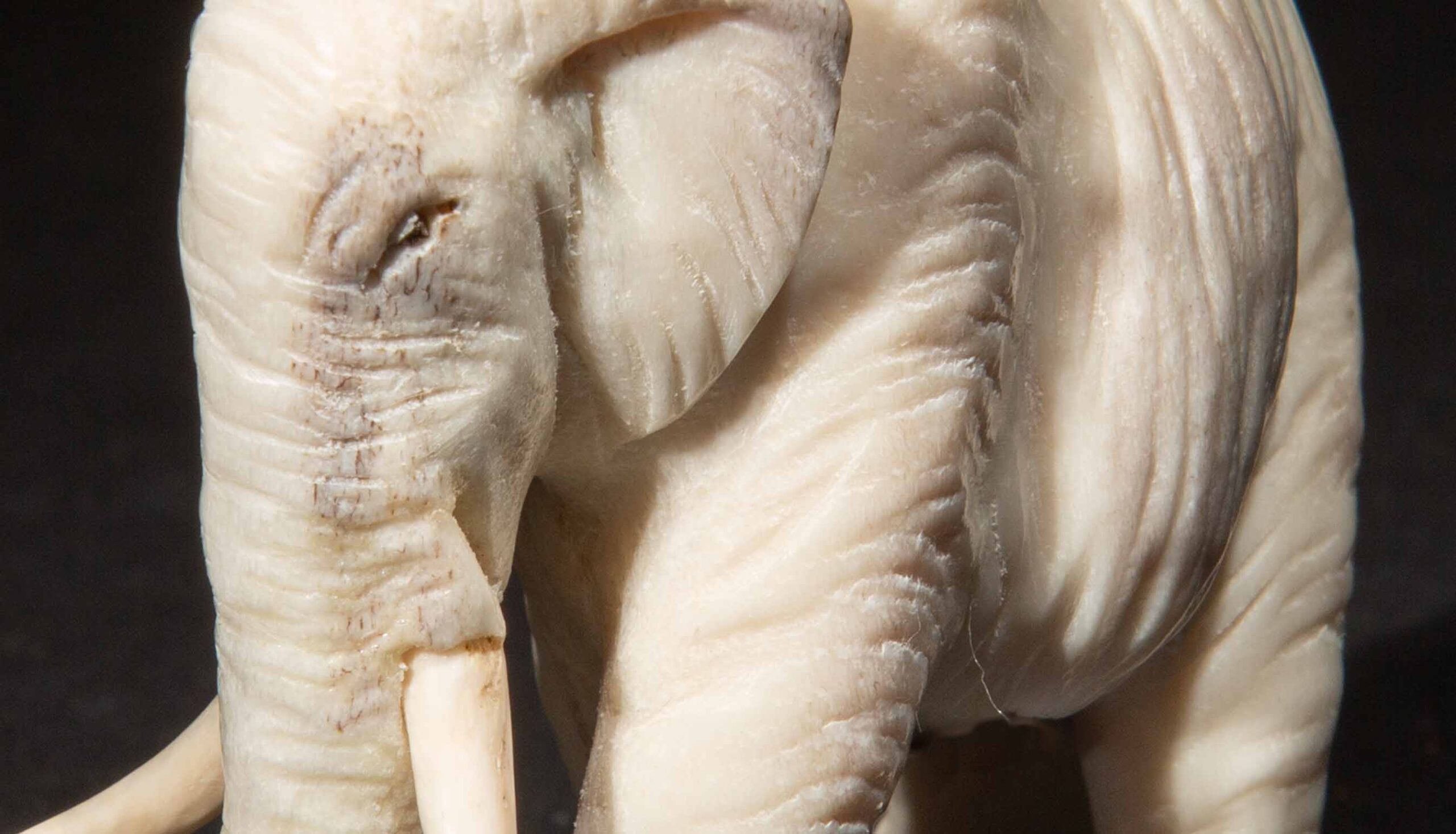 Hand Carved Moose Antler Elephant