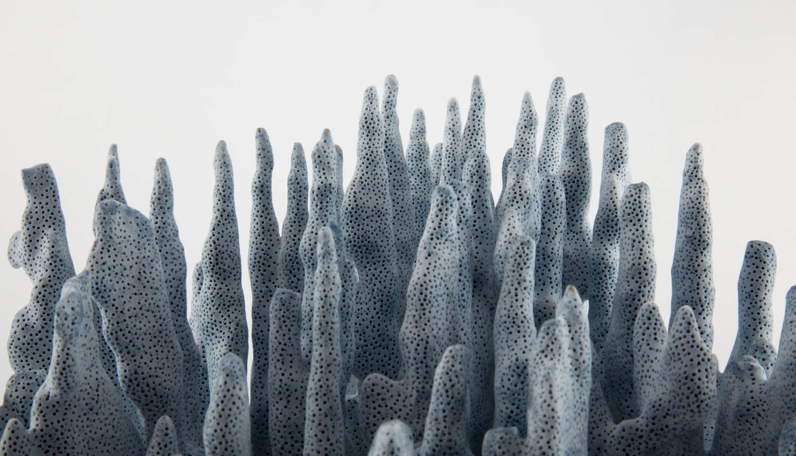 Table Mount Blue Coral 10.25