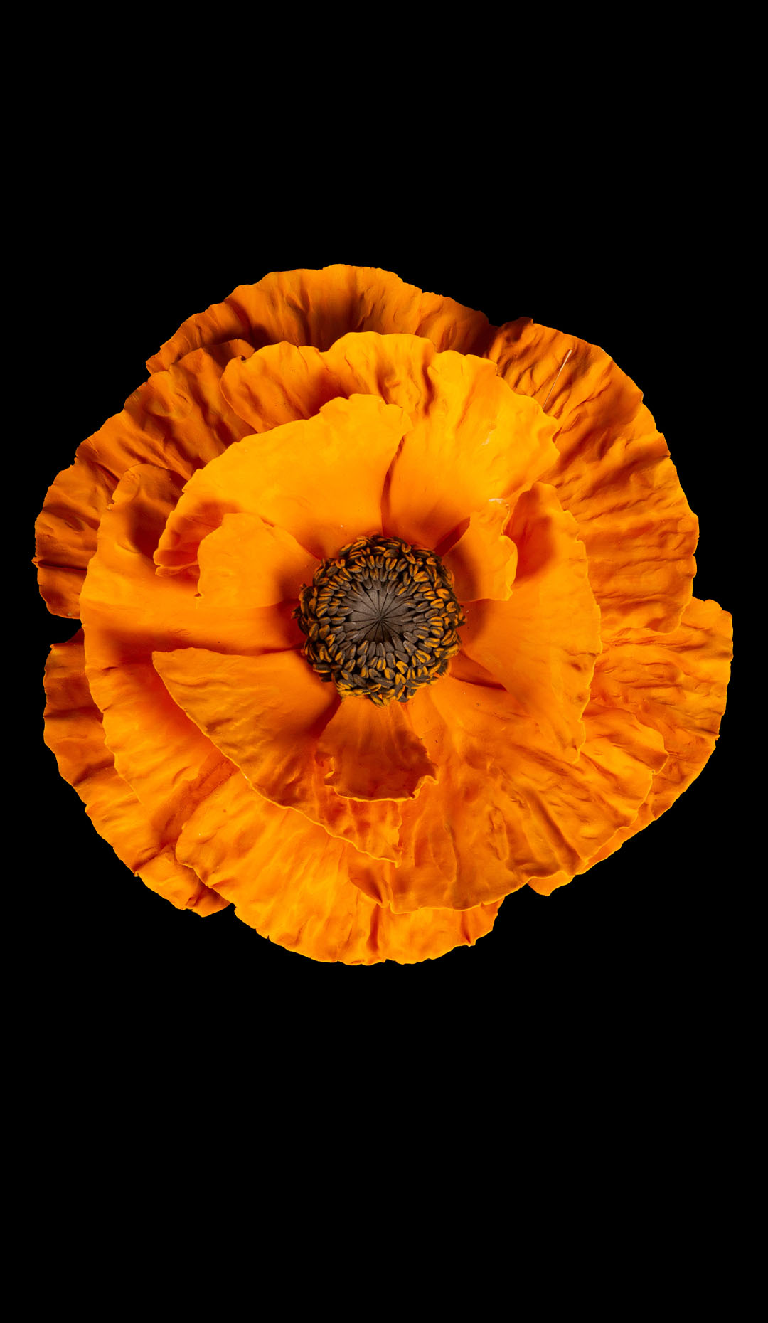 Porcelain Orange Poppy, 9.5