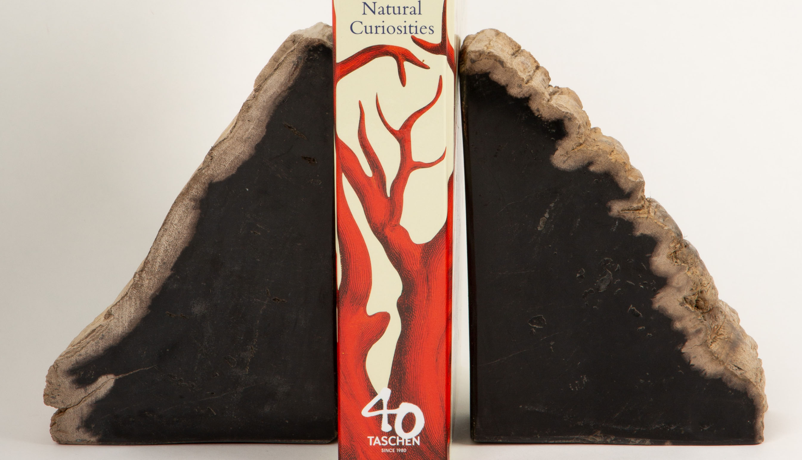 Petrified Wood Bookends
