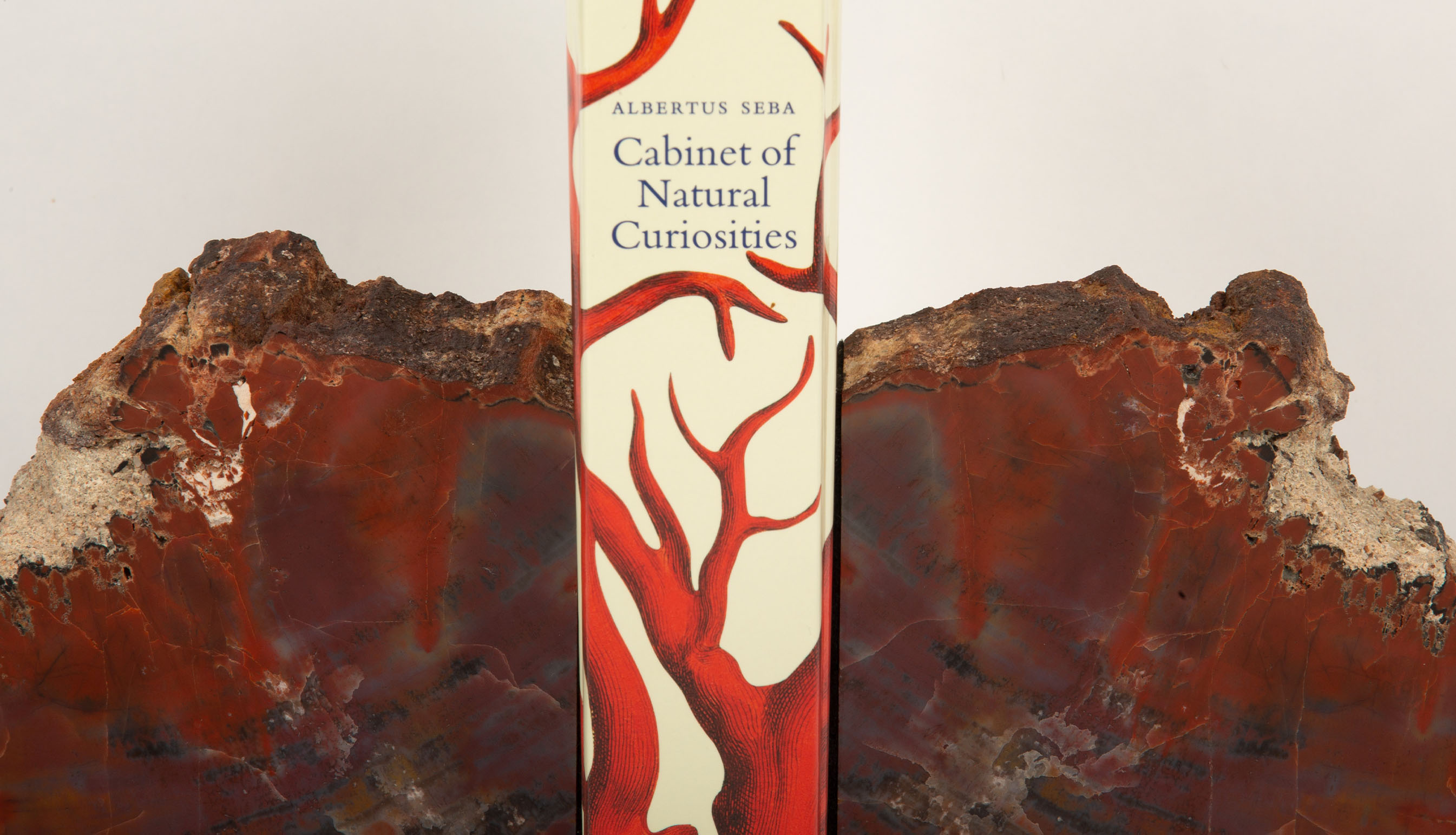 Petrified Wood Book Ends