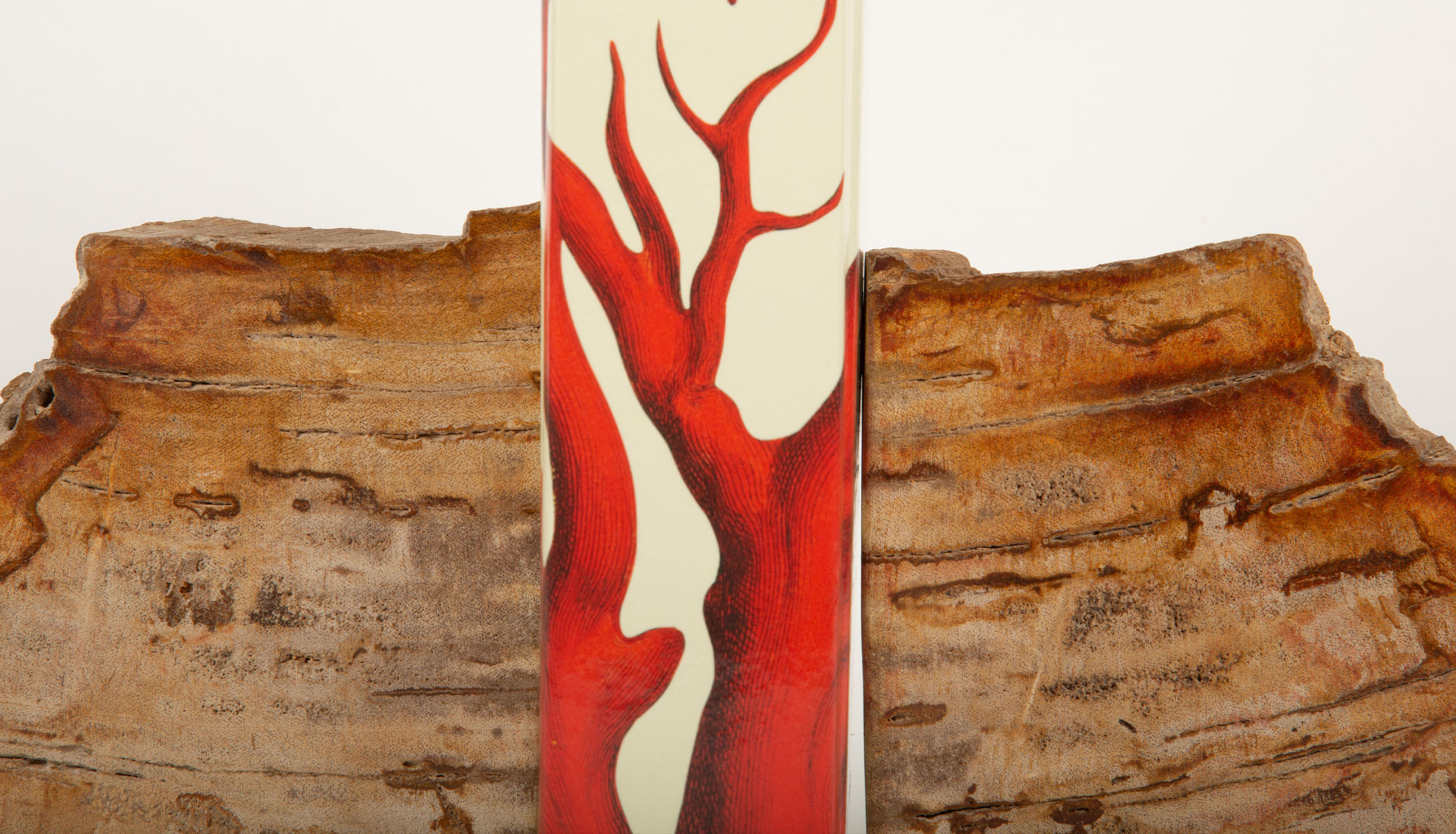 Petrified Wood Book Ends