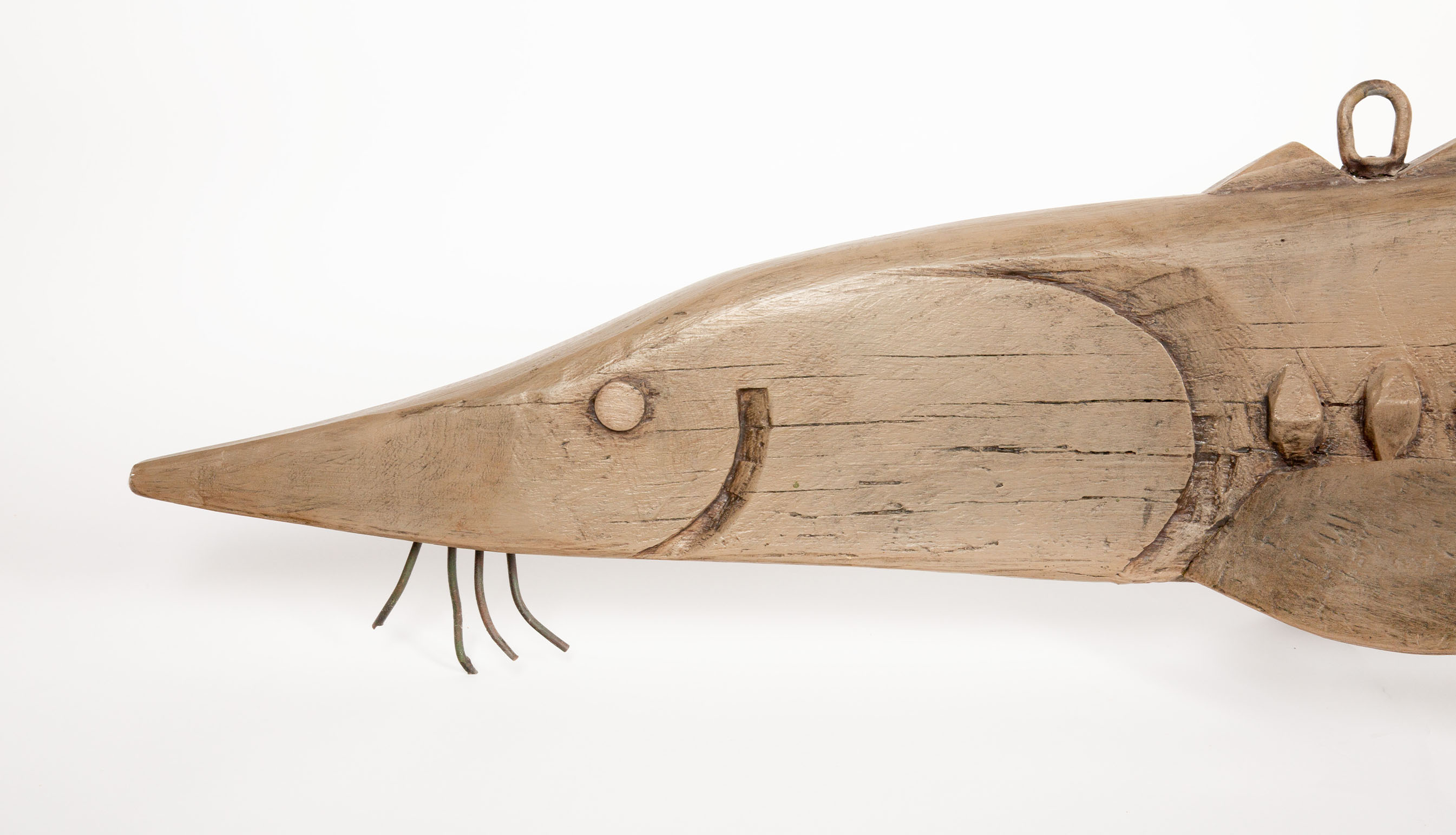 The Big Fish Tale: Jeff Raymond’s Legendary Hudson River Sturgeon- 74