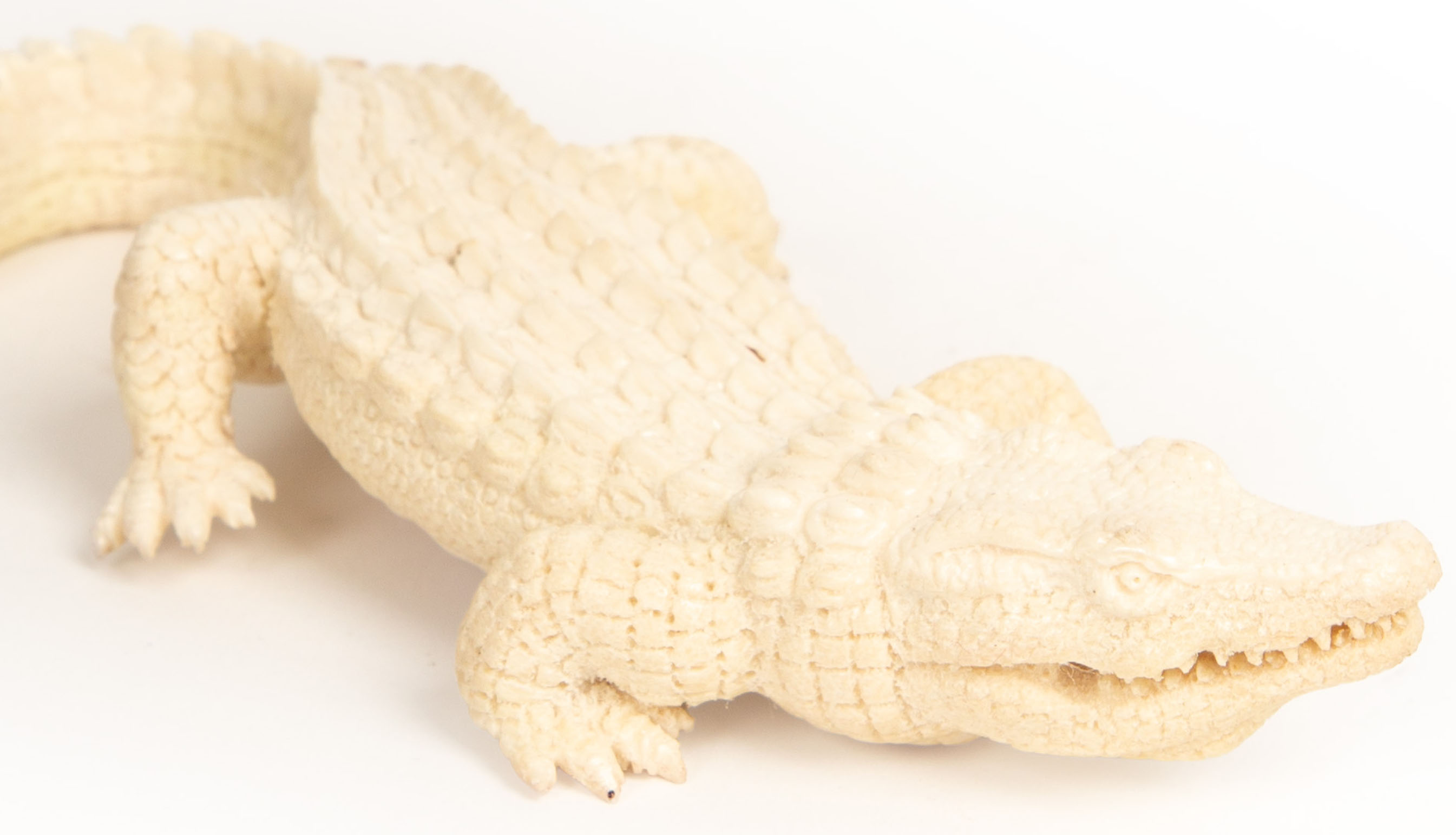 Moose Antler Alligator – Wildly Cool, Naturally Kind