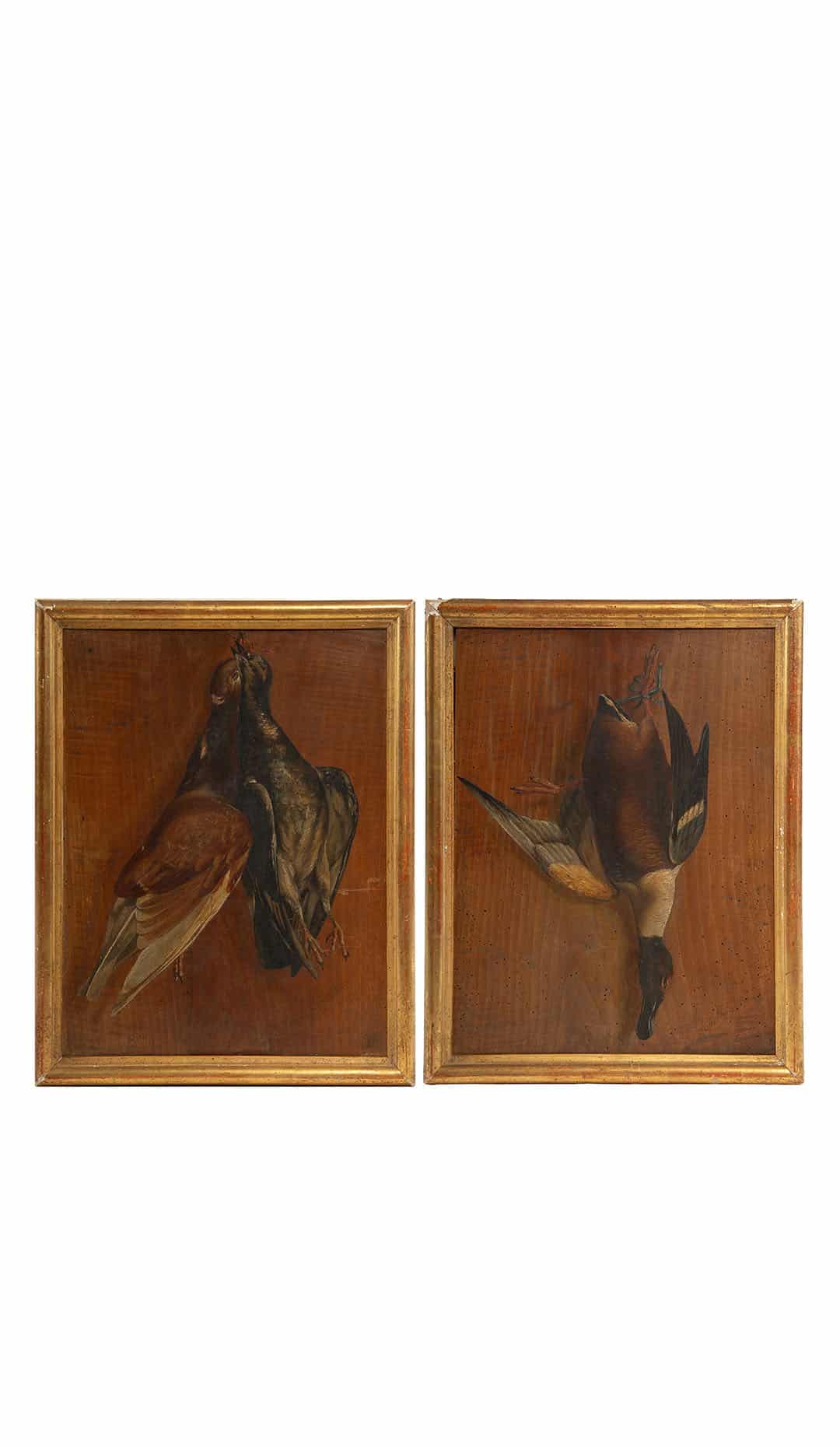 Silent Flight: 19th Century Still Life with Birds