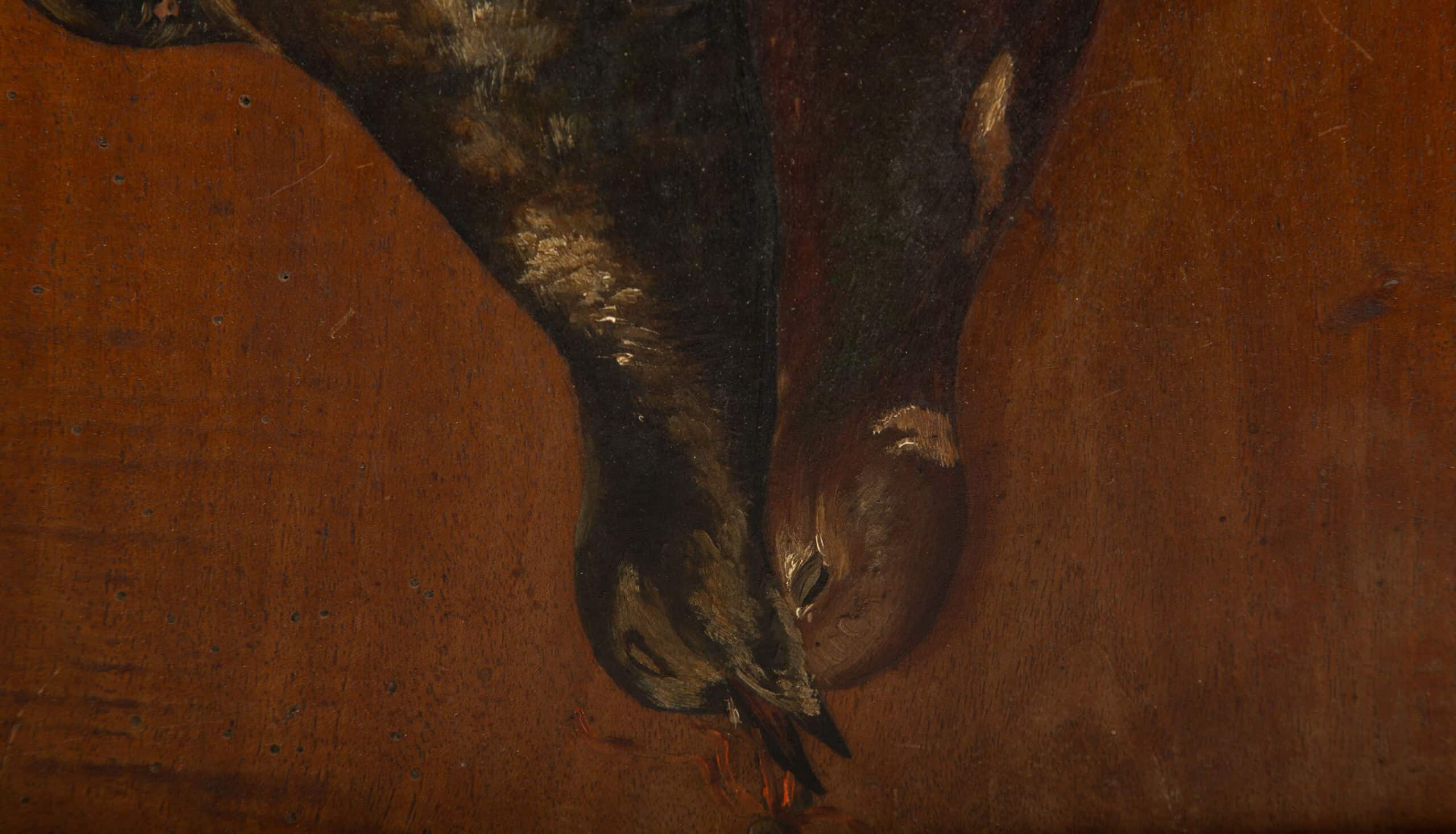 Silent Flight: 19th Century Still Life with Birds