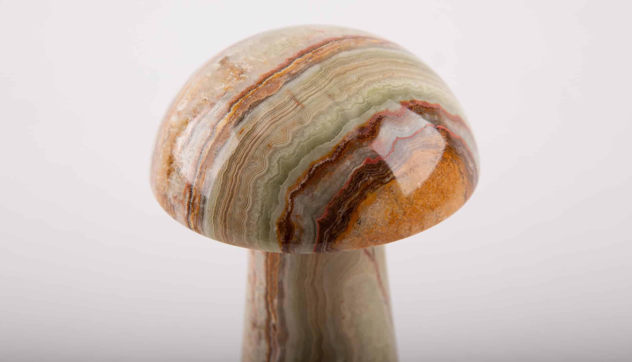 Onyx Mushrooms