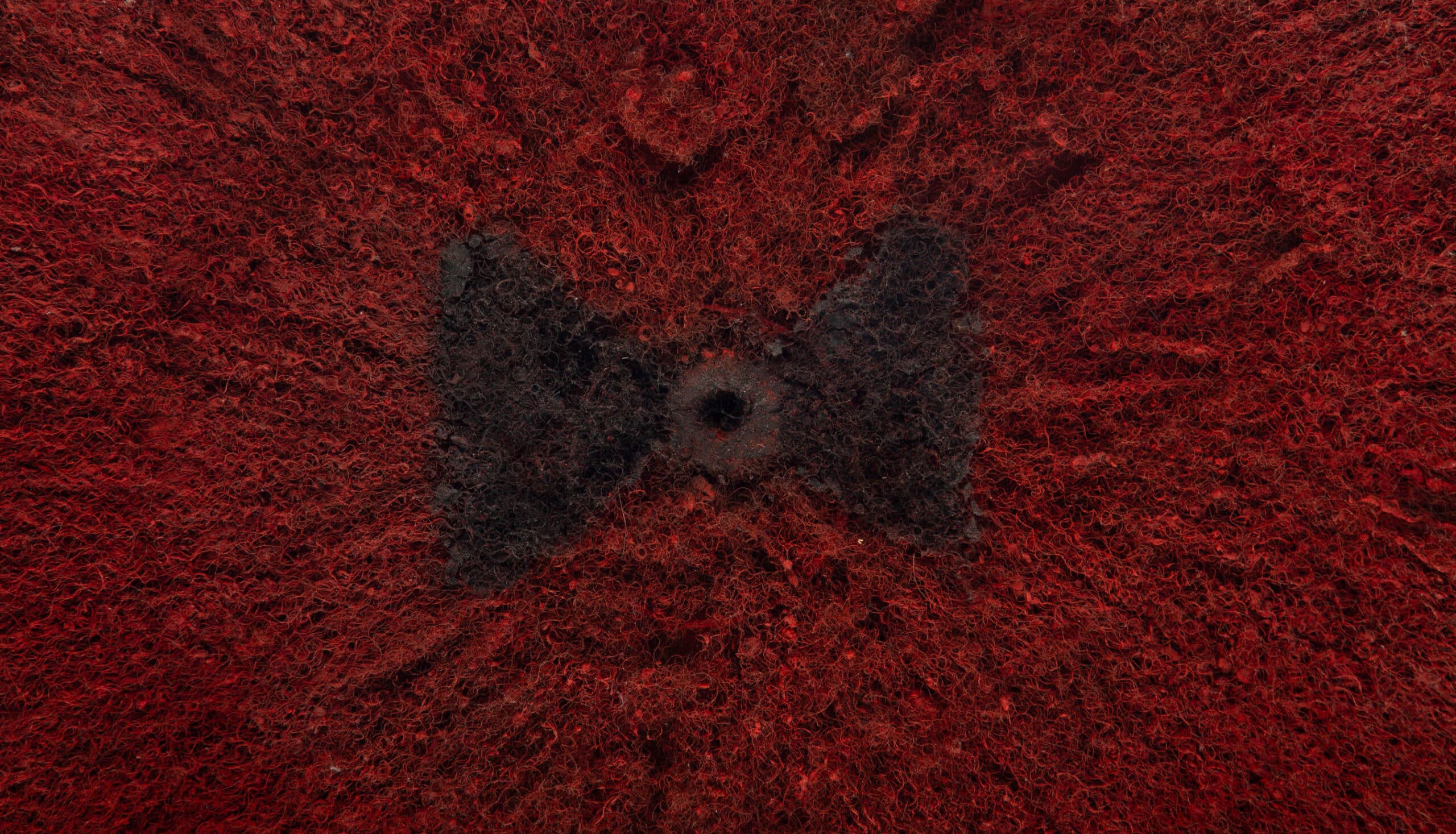 Circle of Honor: Ceremonial Hat (Isicholo), Zulu People