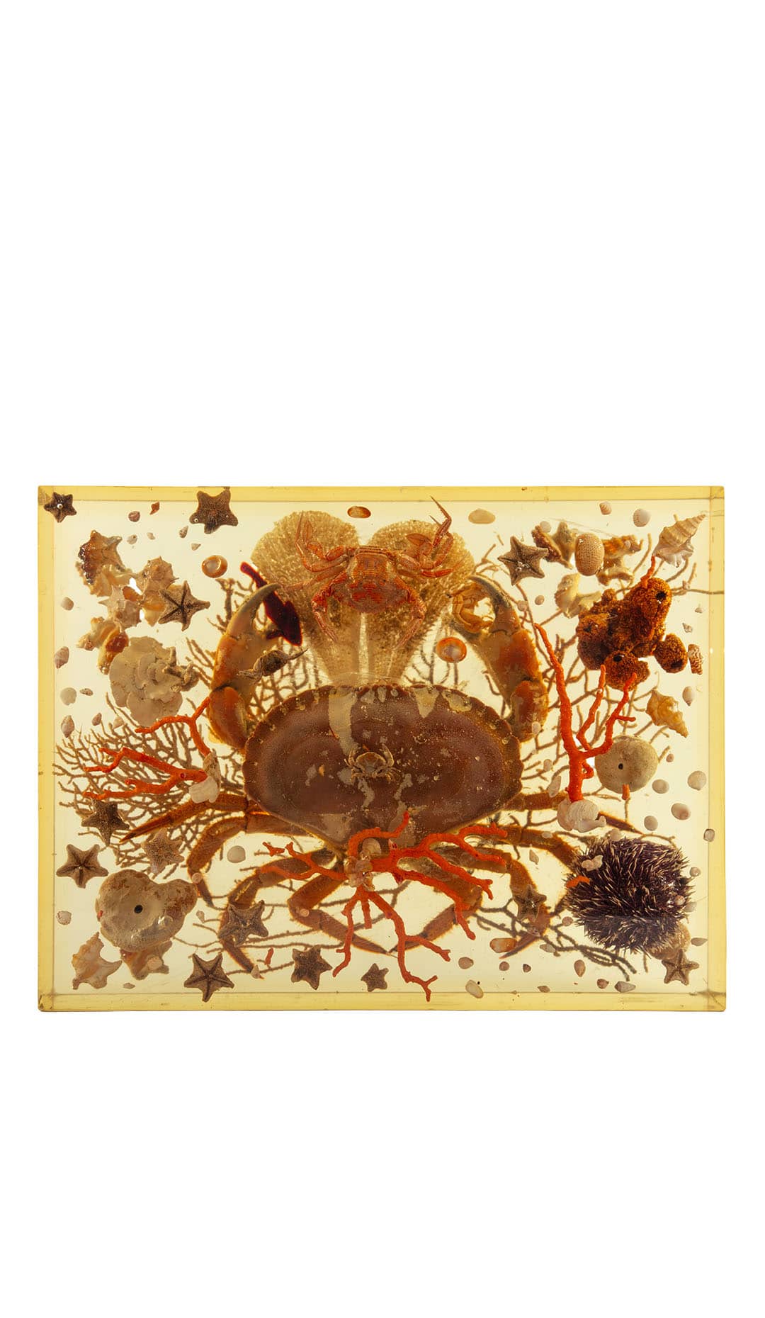 Pierre Giradon Seascape in Lucite