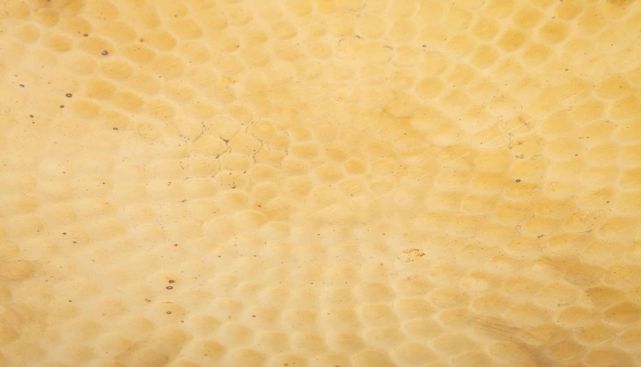 Pair of Hammer Brass Sconces