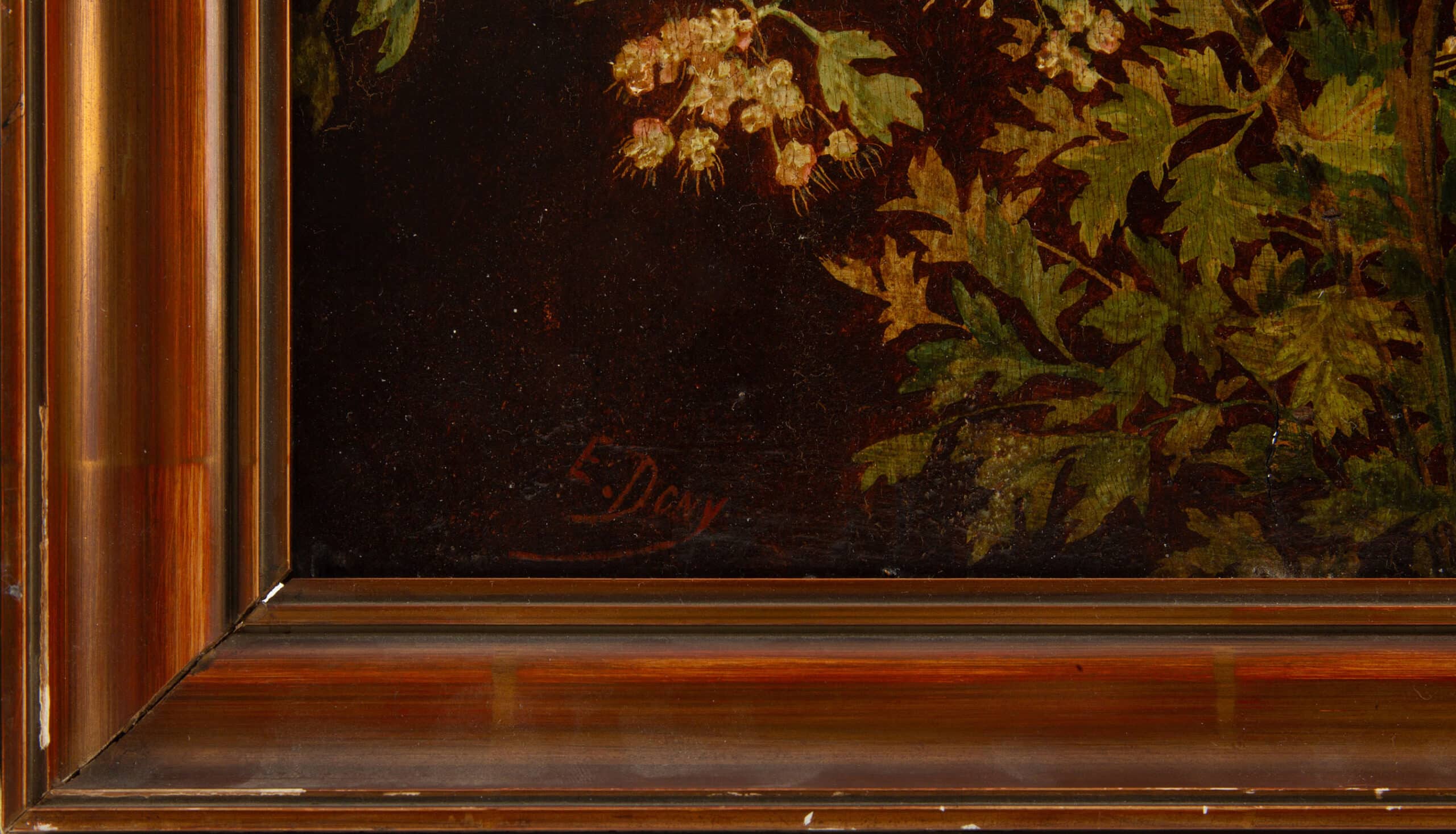 Elderflower Branches (Sambucus), Signed E. Dony, 19th Century