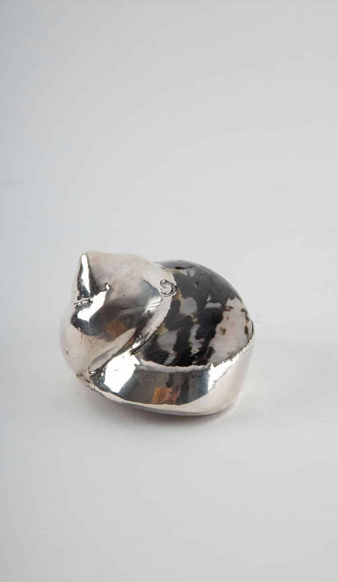 Partially Silvered Havana Turbo Shell 2.25