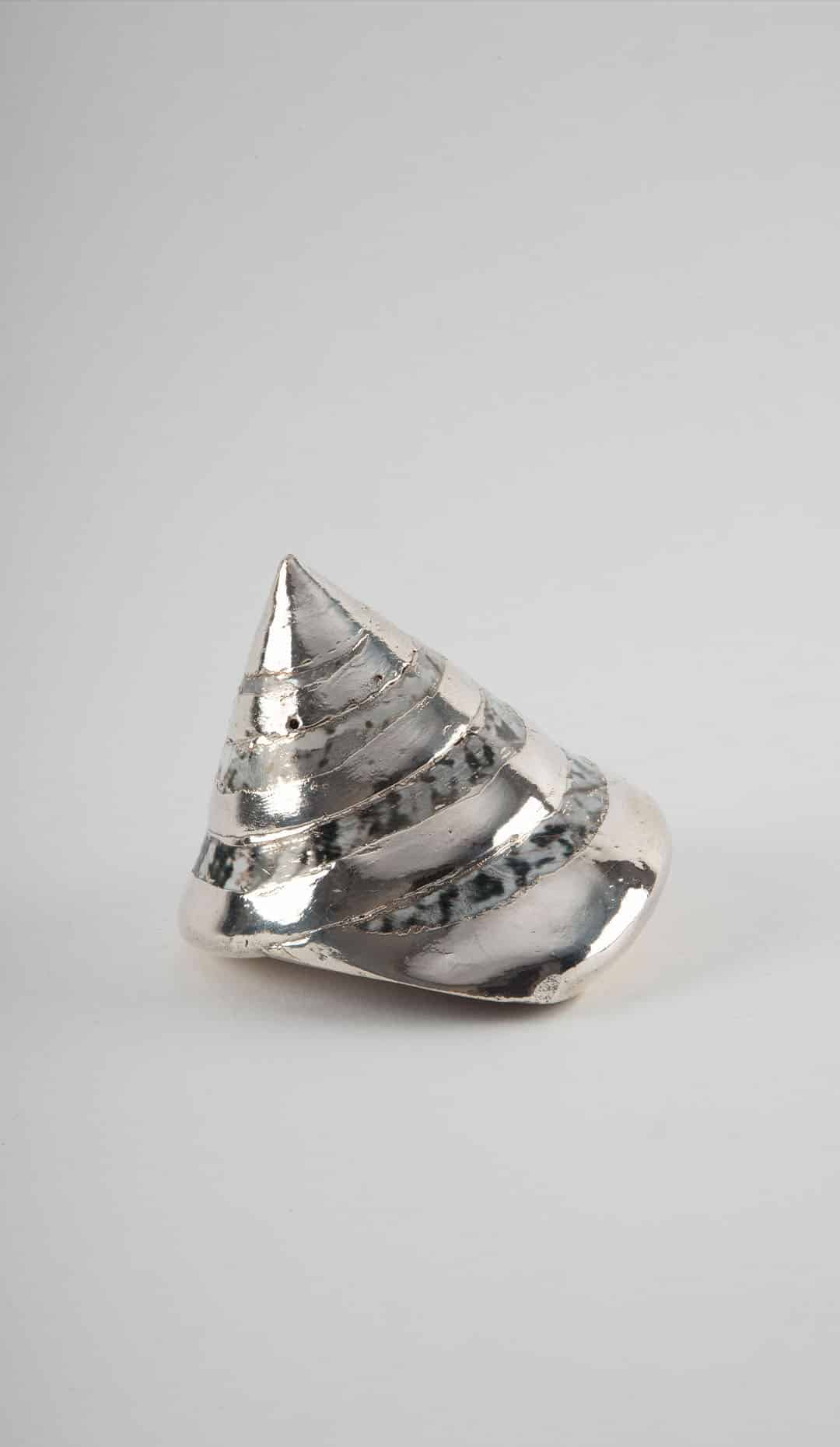 Partially Silvered Trochus Turbo, 3.5