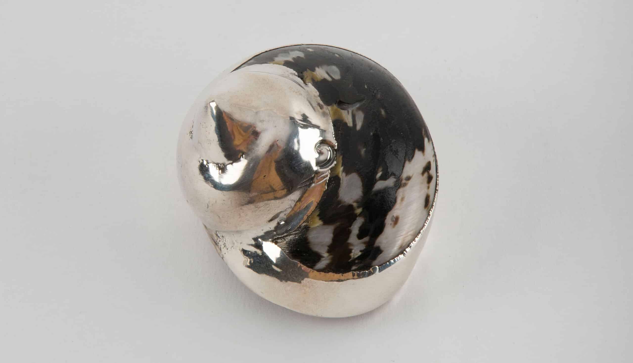 Partially Silvered Havana Turbo Shell 2.25