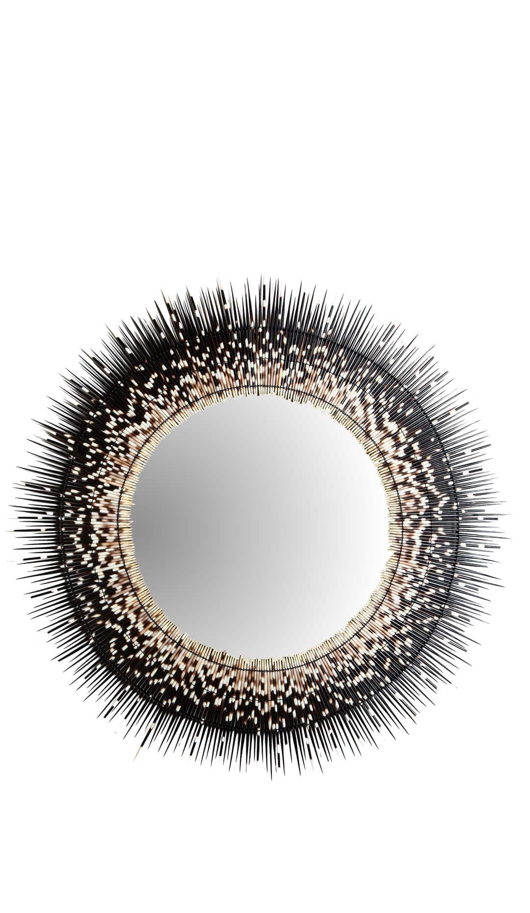 Halo of Quills: African Porcupine Mirror